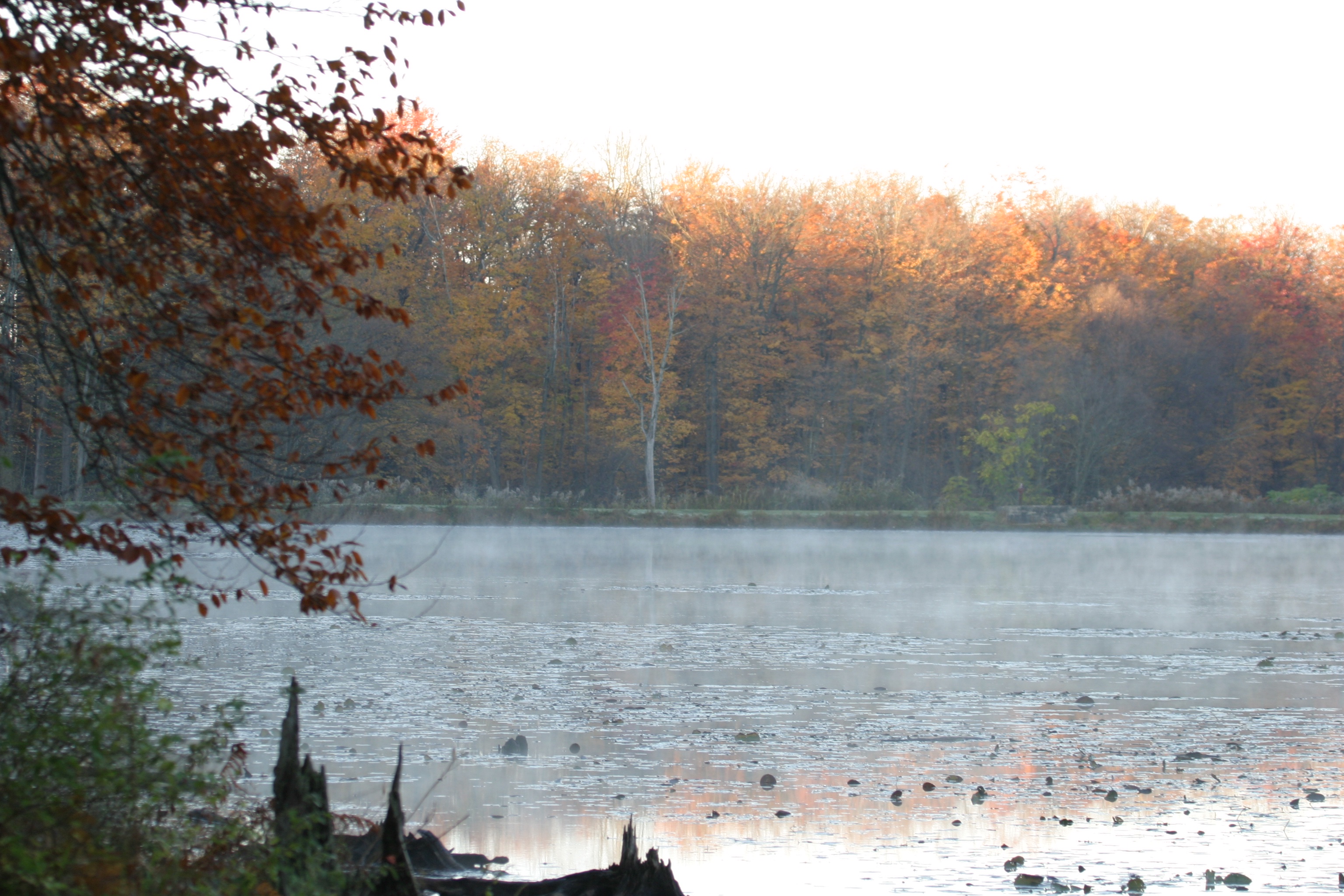 Put on Your Shoes, It's Time for Today's Nature Adventure!