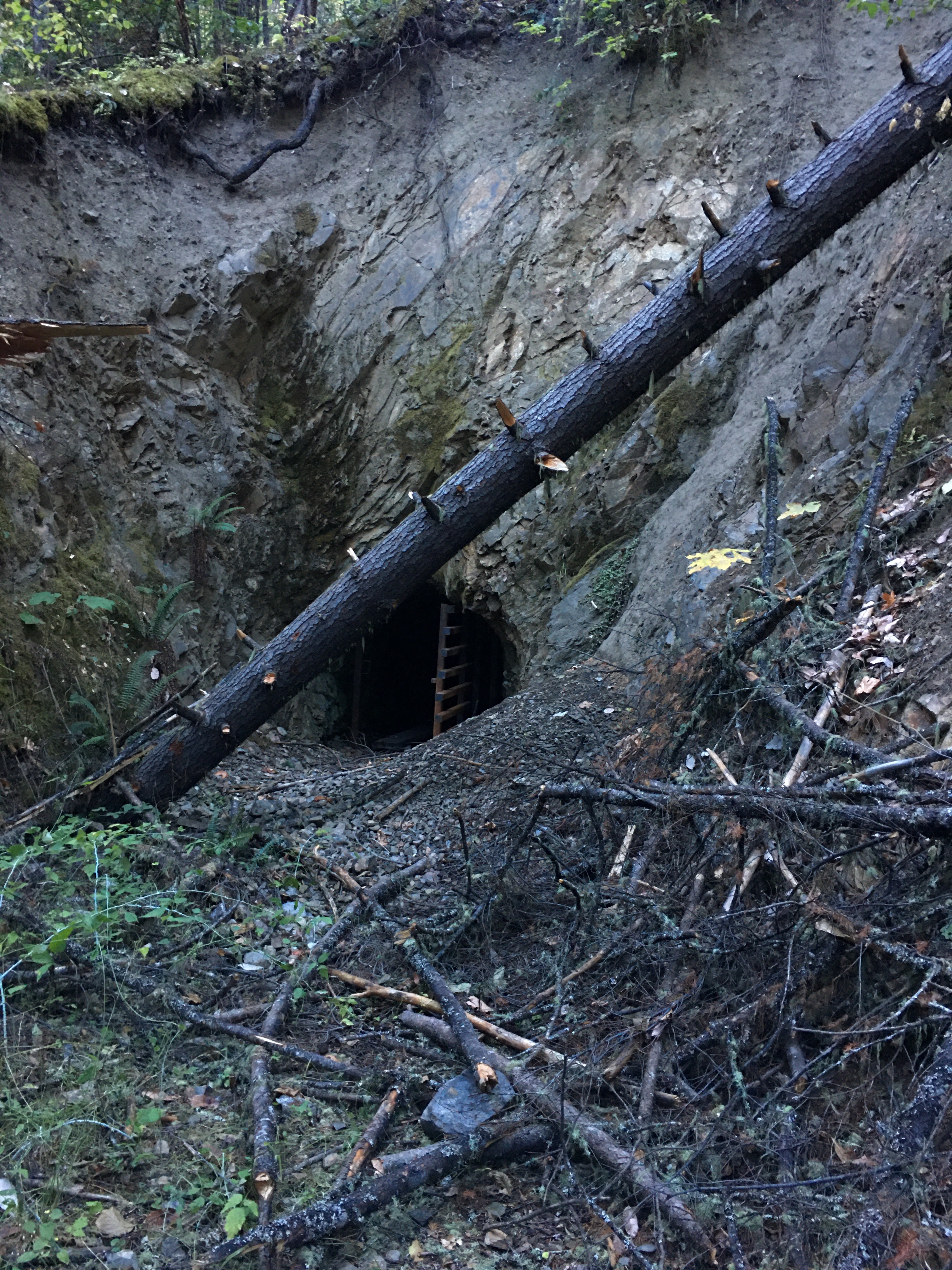 Exploring the Mysterious Cave