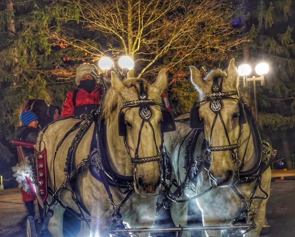 Enjoying a Cozy Carriage Ride