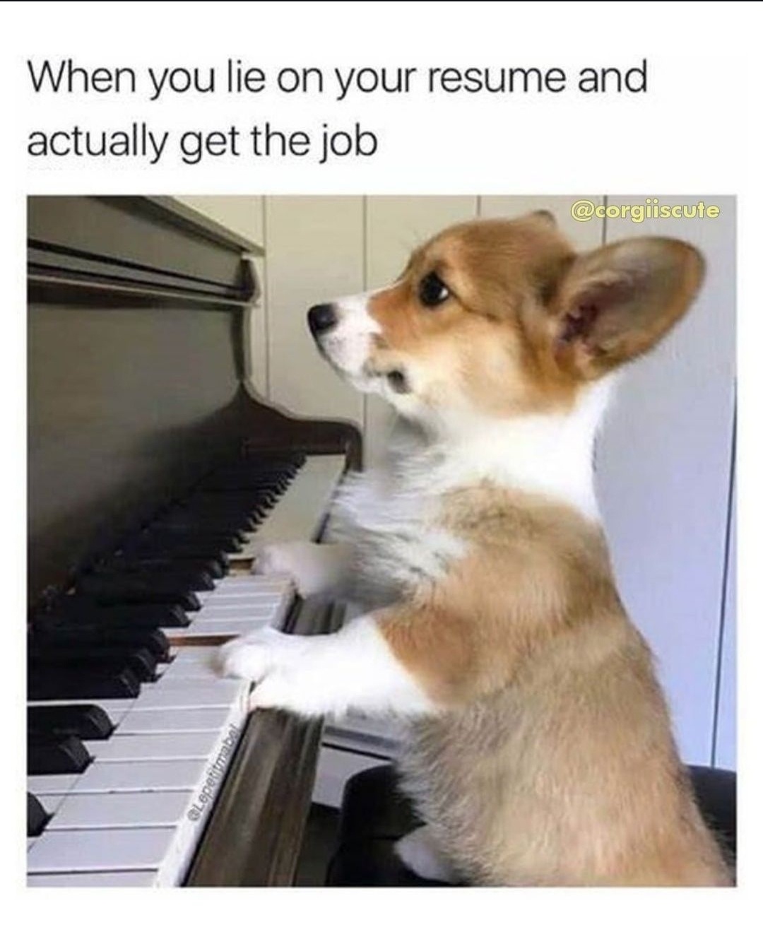 A Hilarious Collection of Memes for Everyone: Volume 25