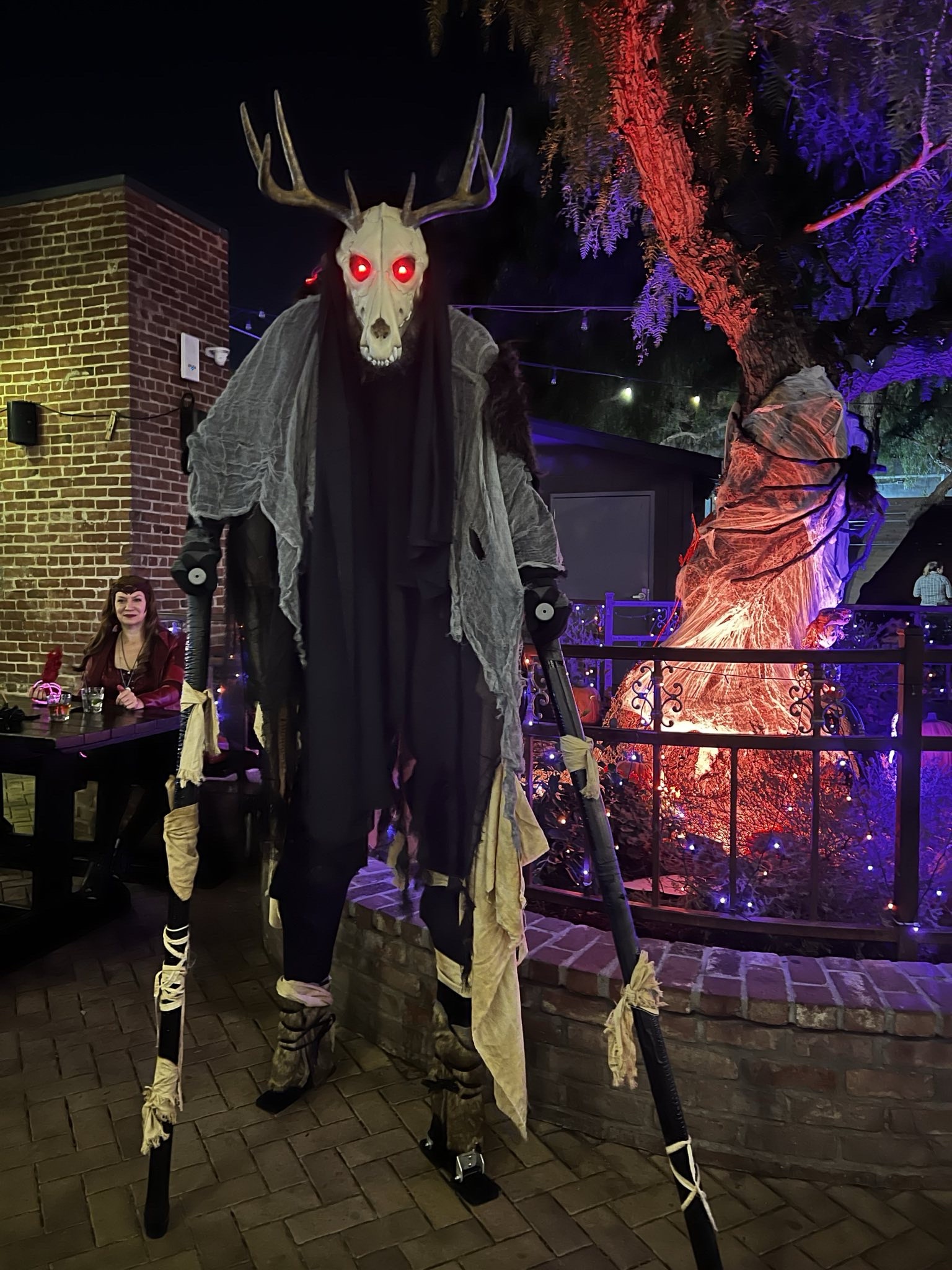 Wishing you a spooktacular Halloween!