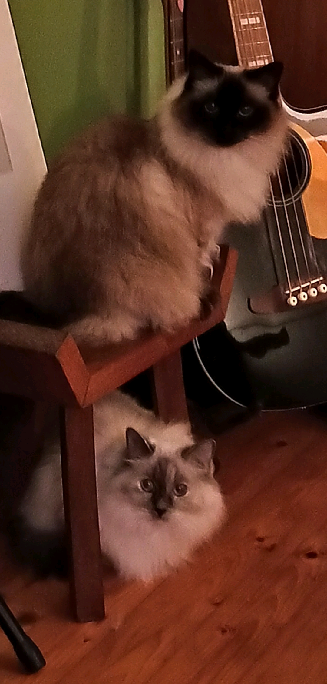 My Phone Background: A Personal Touch