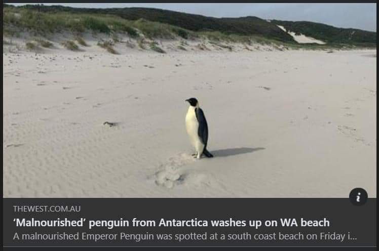 What on Earth is it doing in WA?