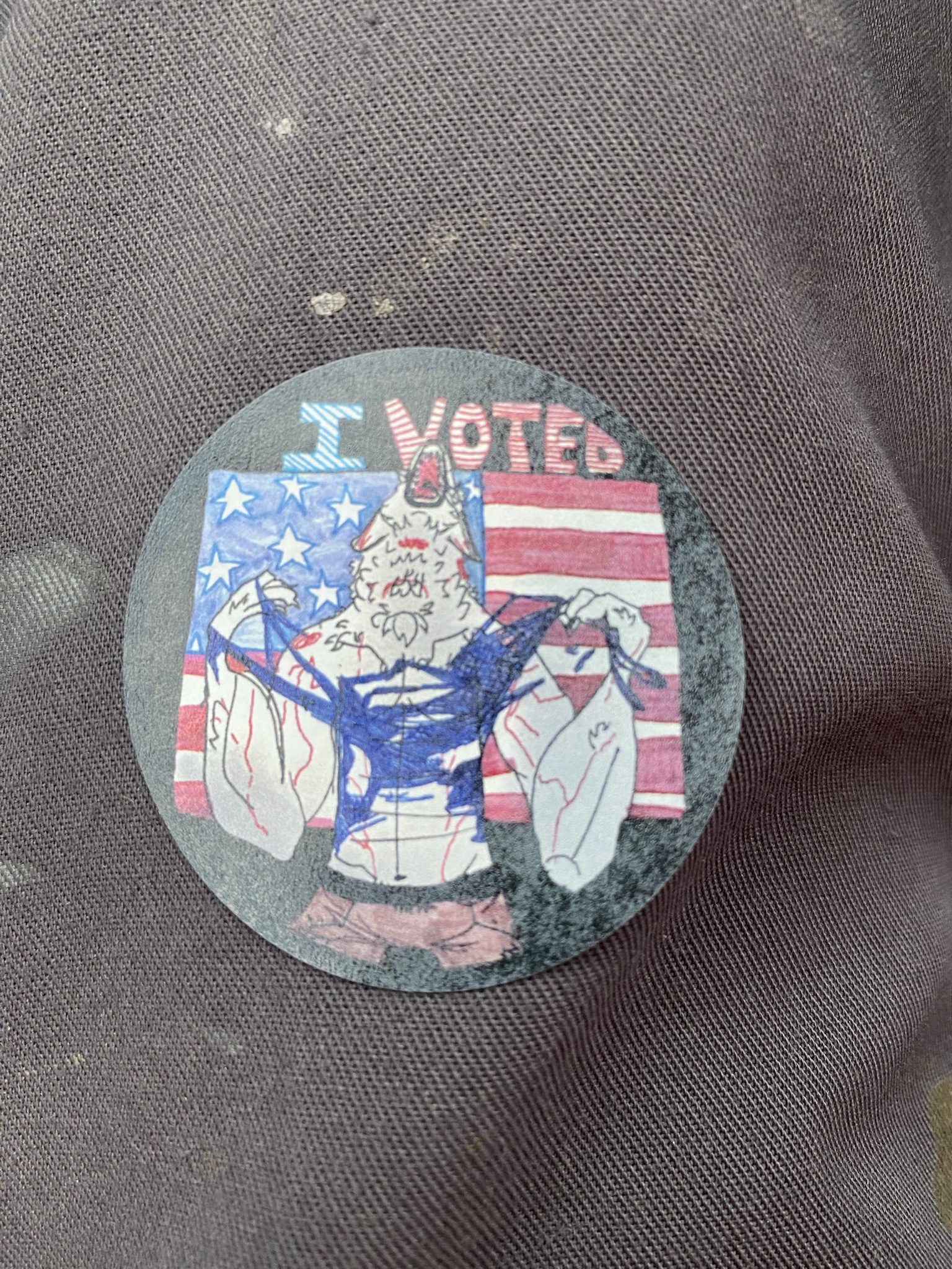 I cast my vote! Michigan kids designed the coolest stickers.