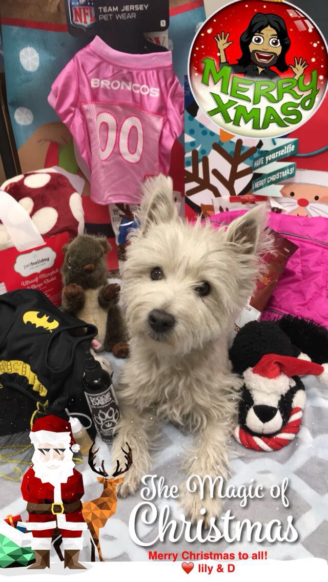 Lily's 2016 Christmas Haul and the Heartfelt Greeting Card We Sent