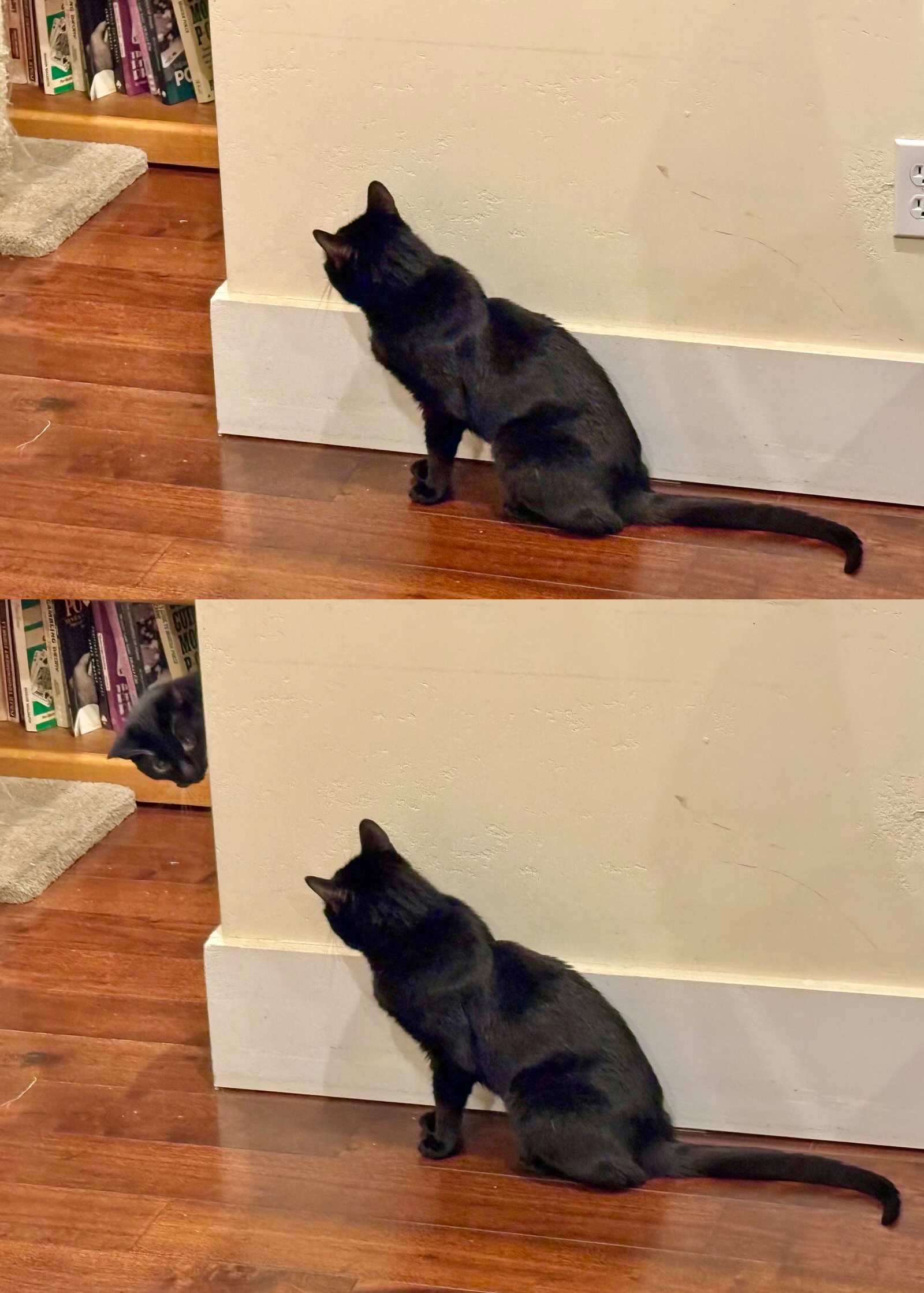 Surprise Attack: The Cat Calculations