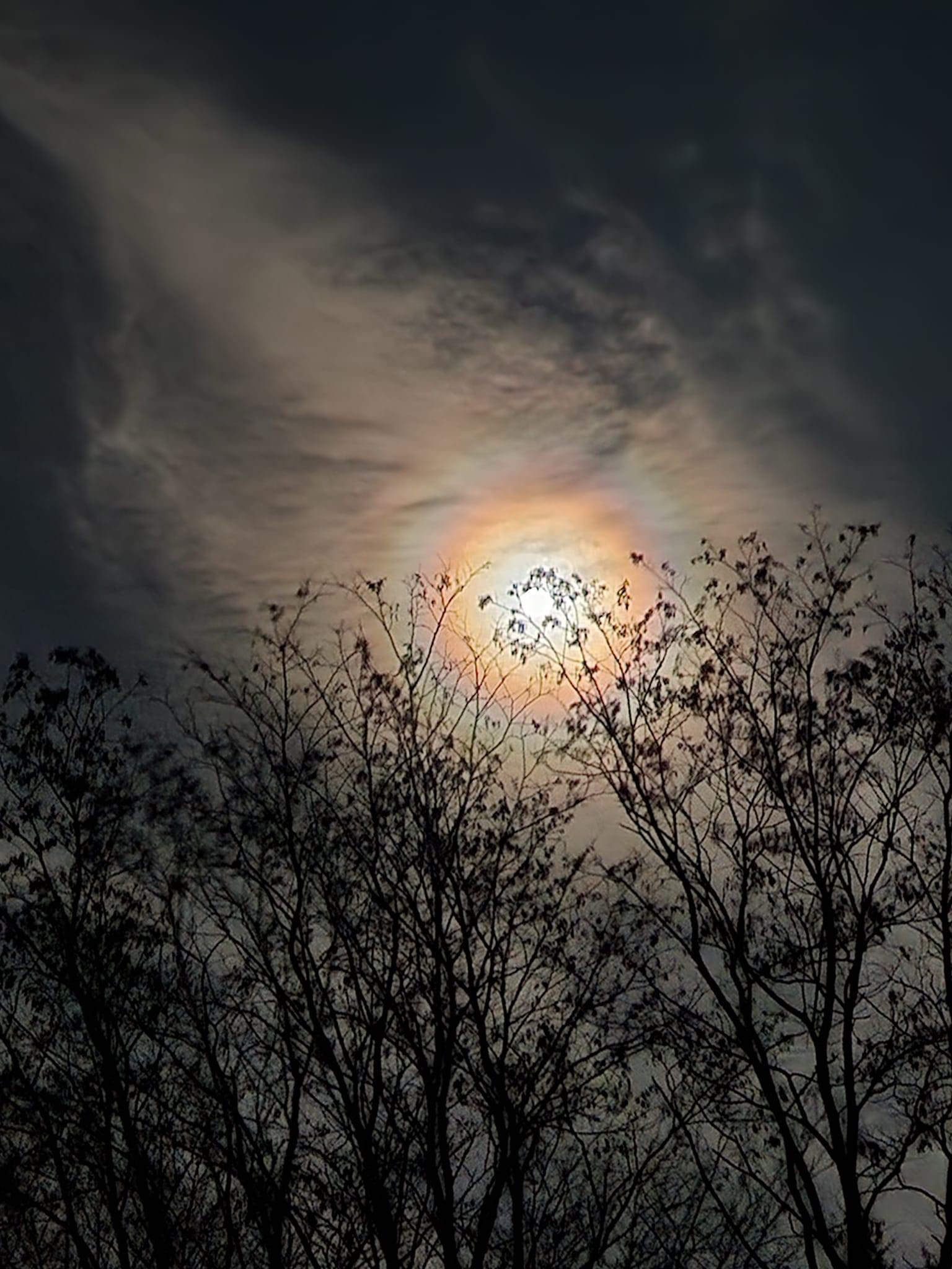 The Majestic Moon