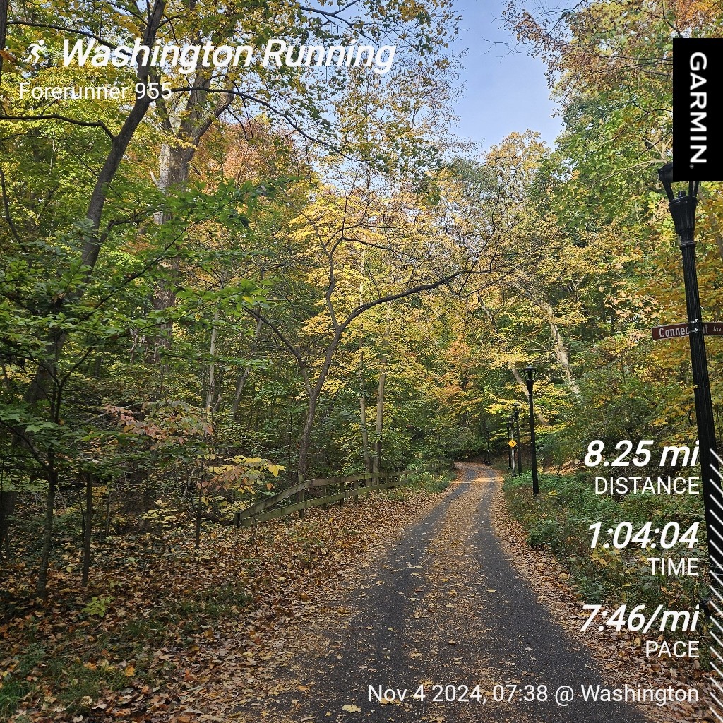 Today's Adventure: The Daily Run!