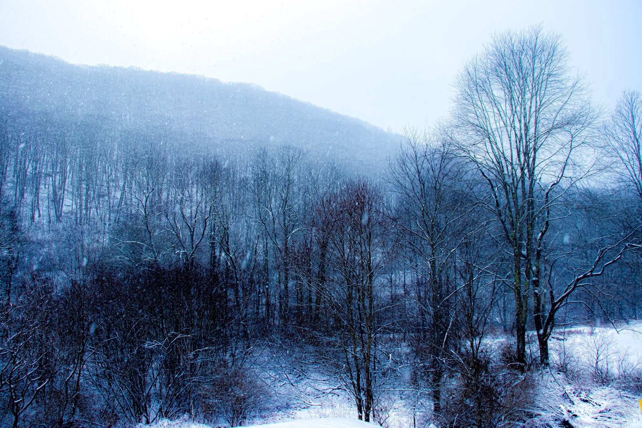 A Winter Wonderland: Embracing the Beauty of Snow