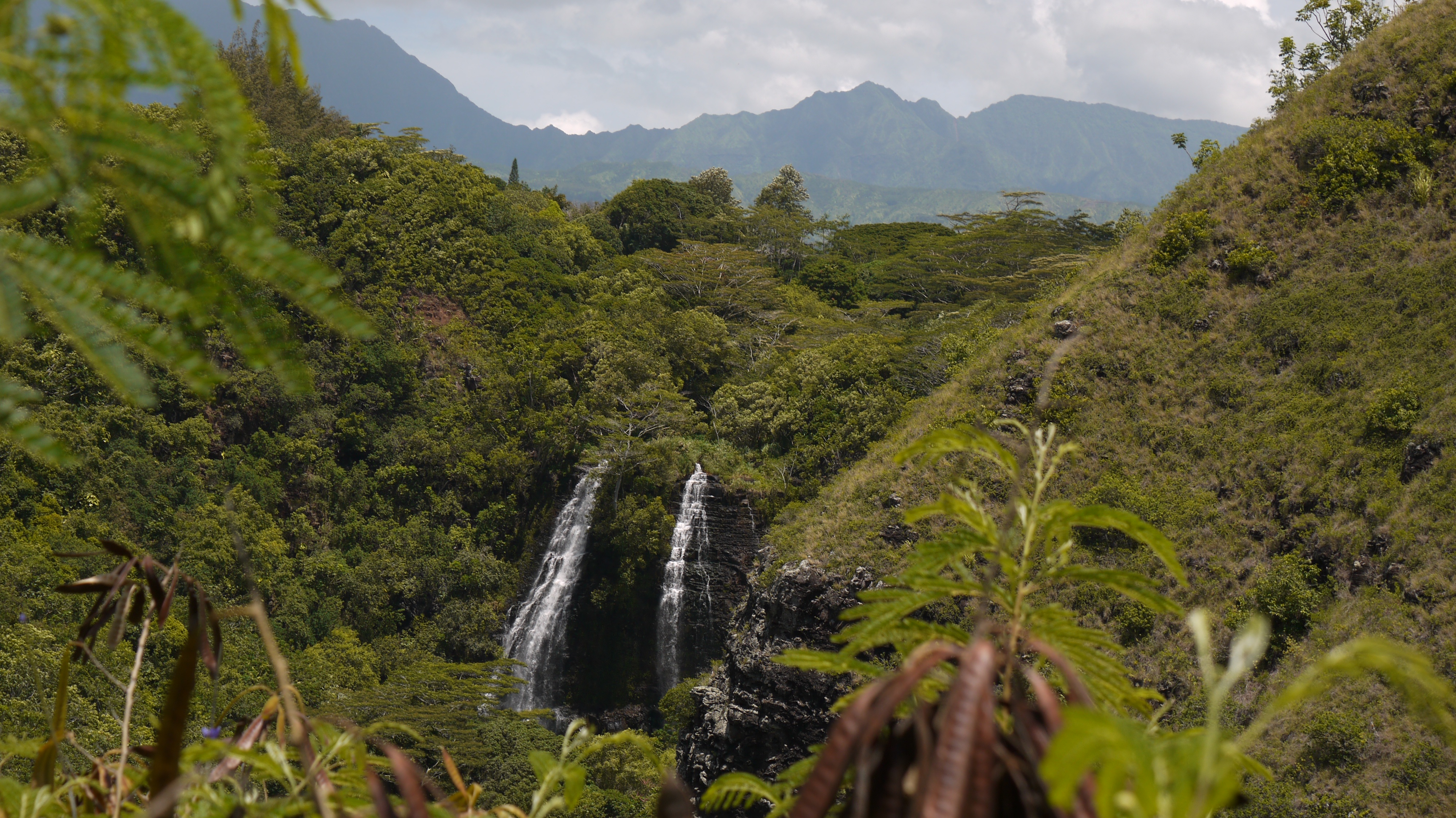 Breathtaking views of Kauai.