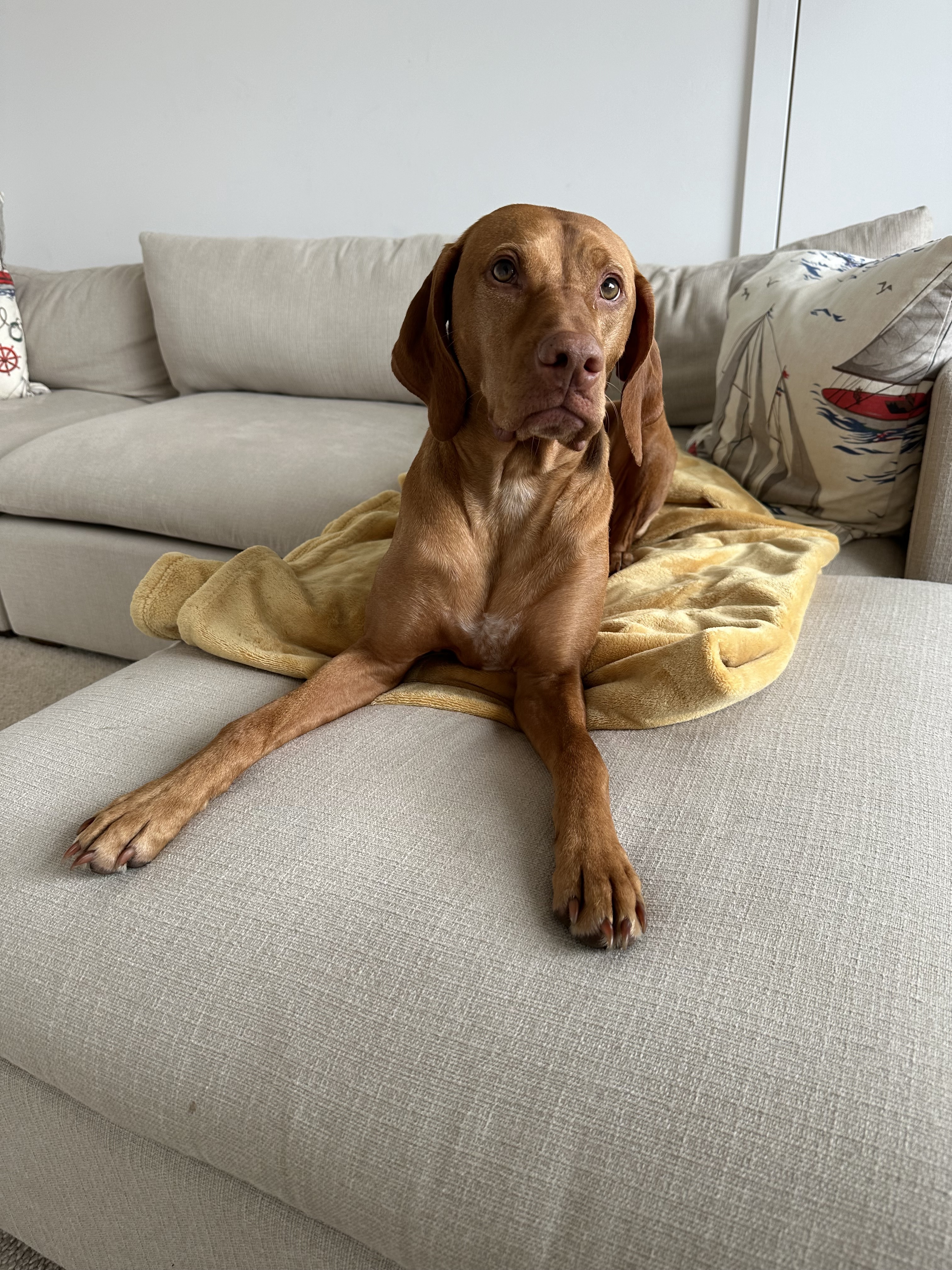 Meet Rudy, the enigma