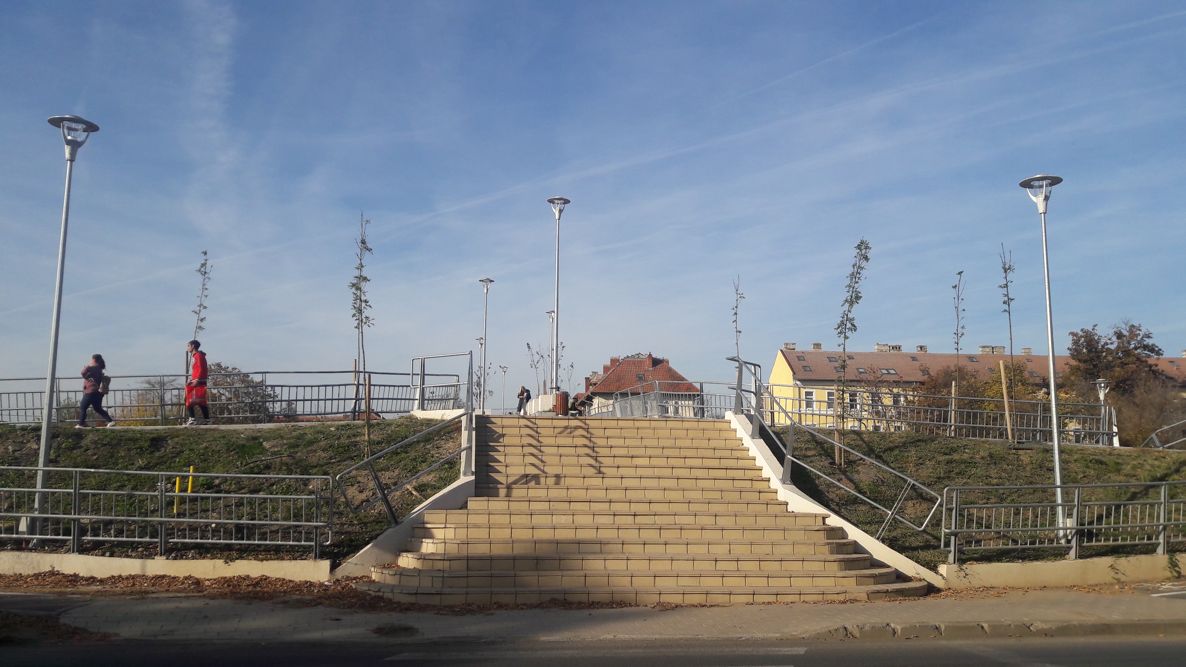 Pasarela Gelu: A Glimpse of Timișoara's Charm
