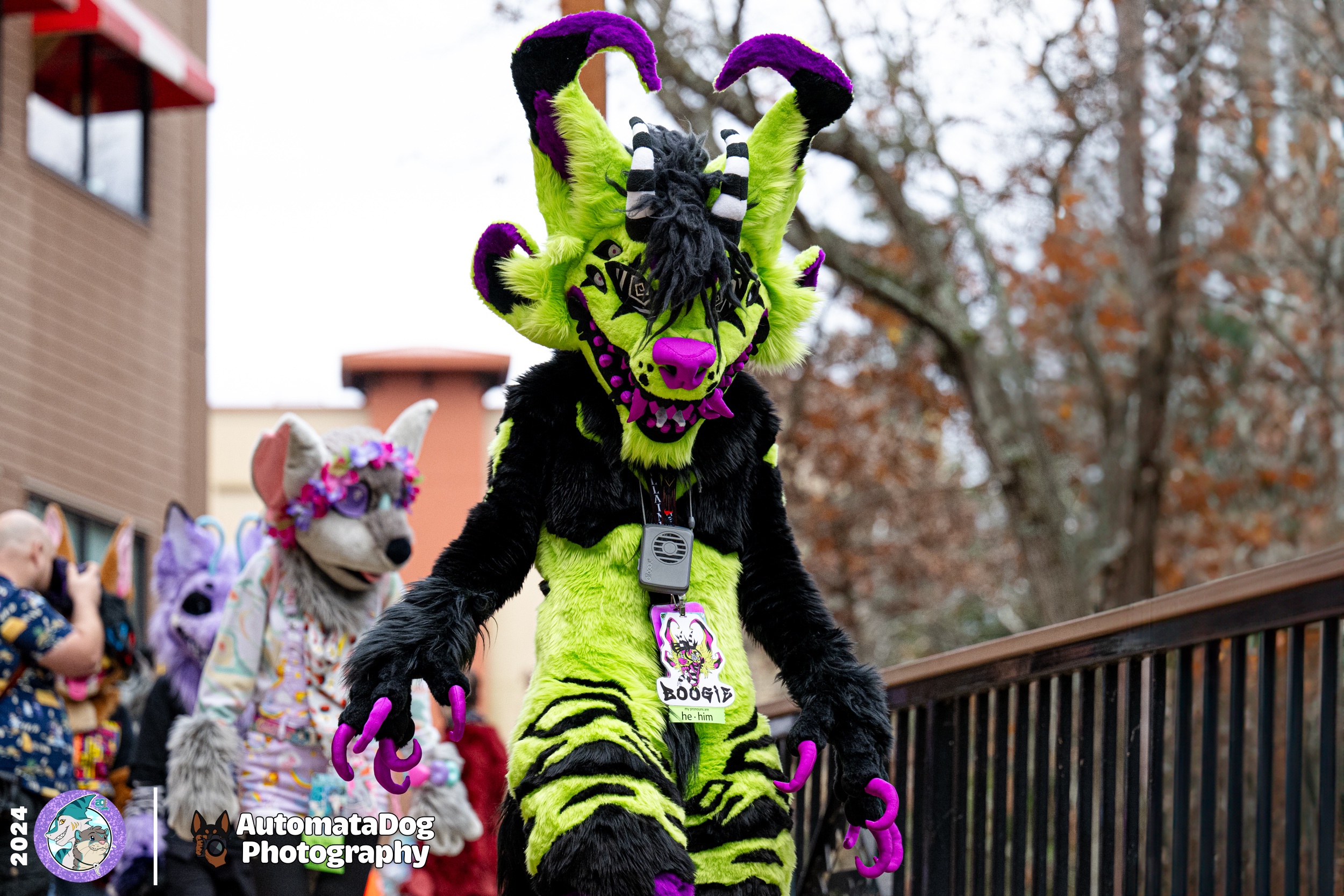 Daily dose of furry photography - Day 446!