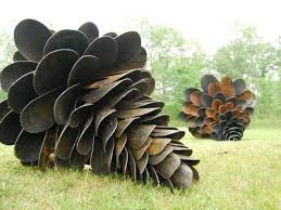 Behold the Majestic Ancient Pinecones!