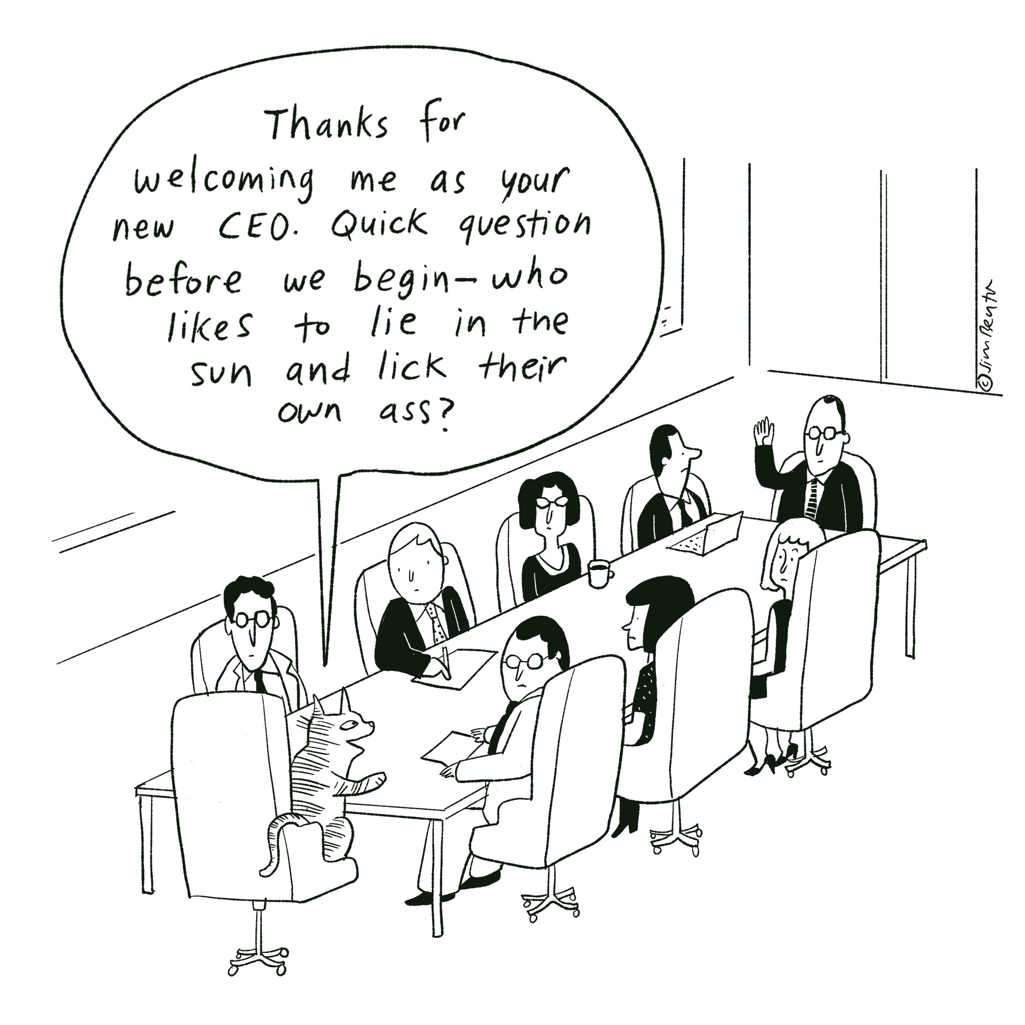 Meet the New CEO: A Fresh Face in Leadership