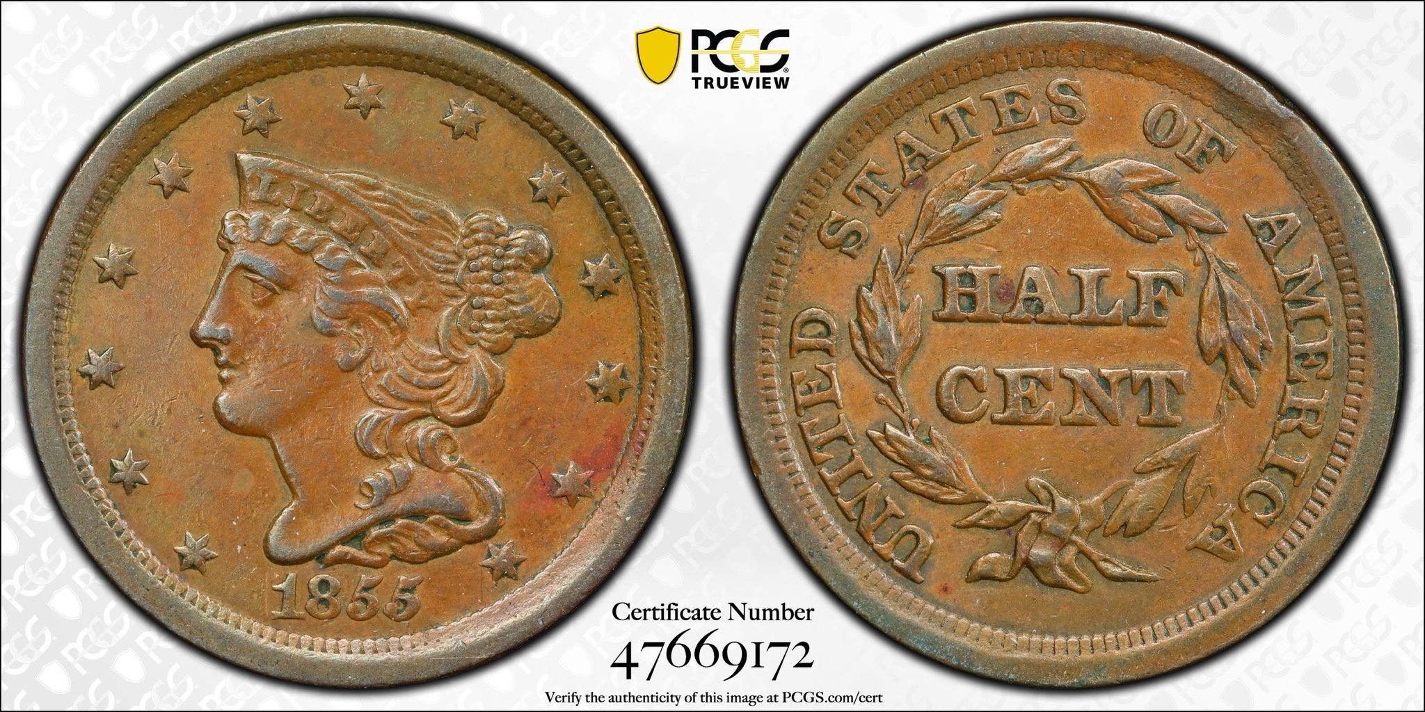 Rare Find: The 1855 Braided Hair Half Cent Graded AU50 by PCGS