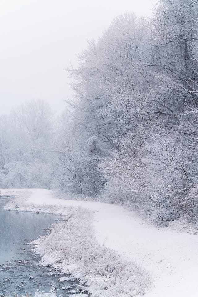 Brace yourself for the snowstorm!