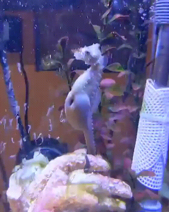 You Need to Leave Right Now!