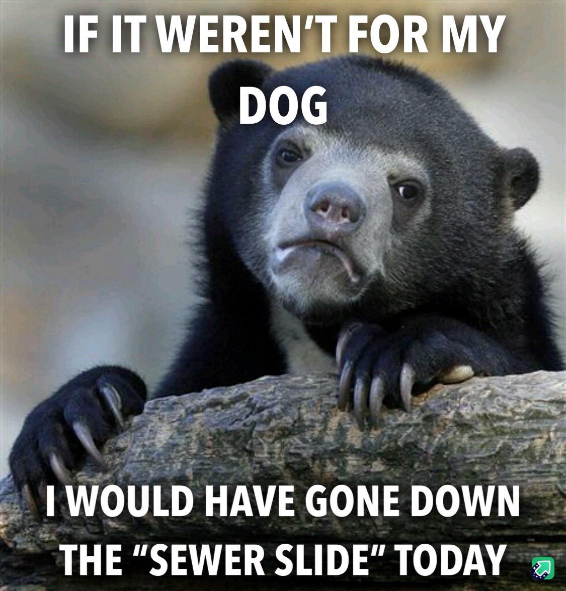 Still Unsure If I Can Go On in This World