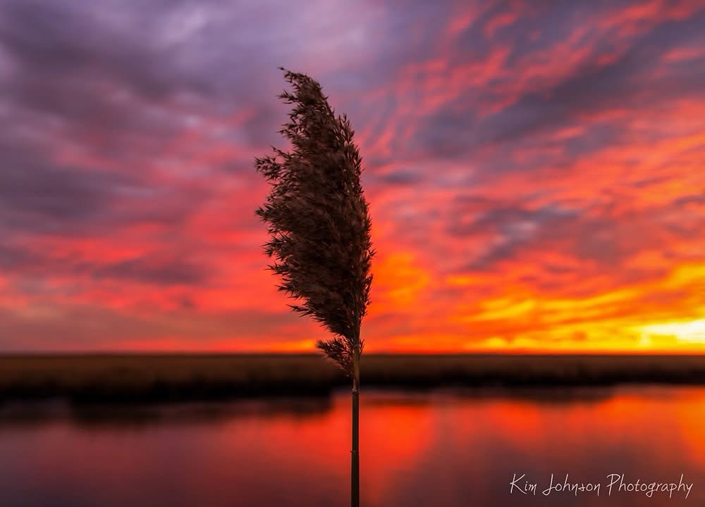 Witness the Beauty of Sunrise Once Again
