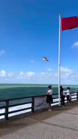 I Want That Ice Cream Now!