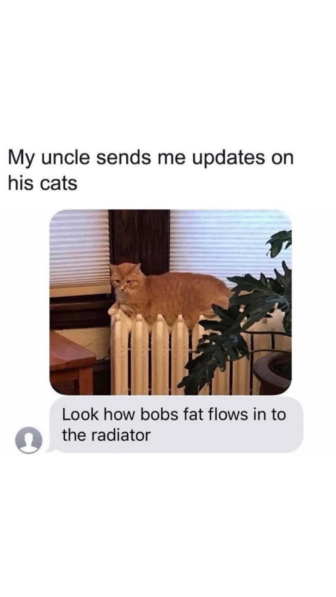 Bob's got some serious weight to lose!