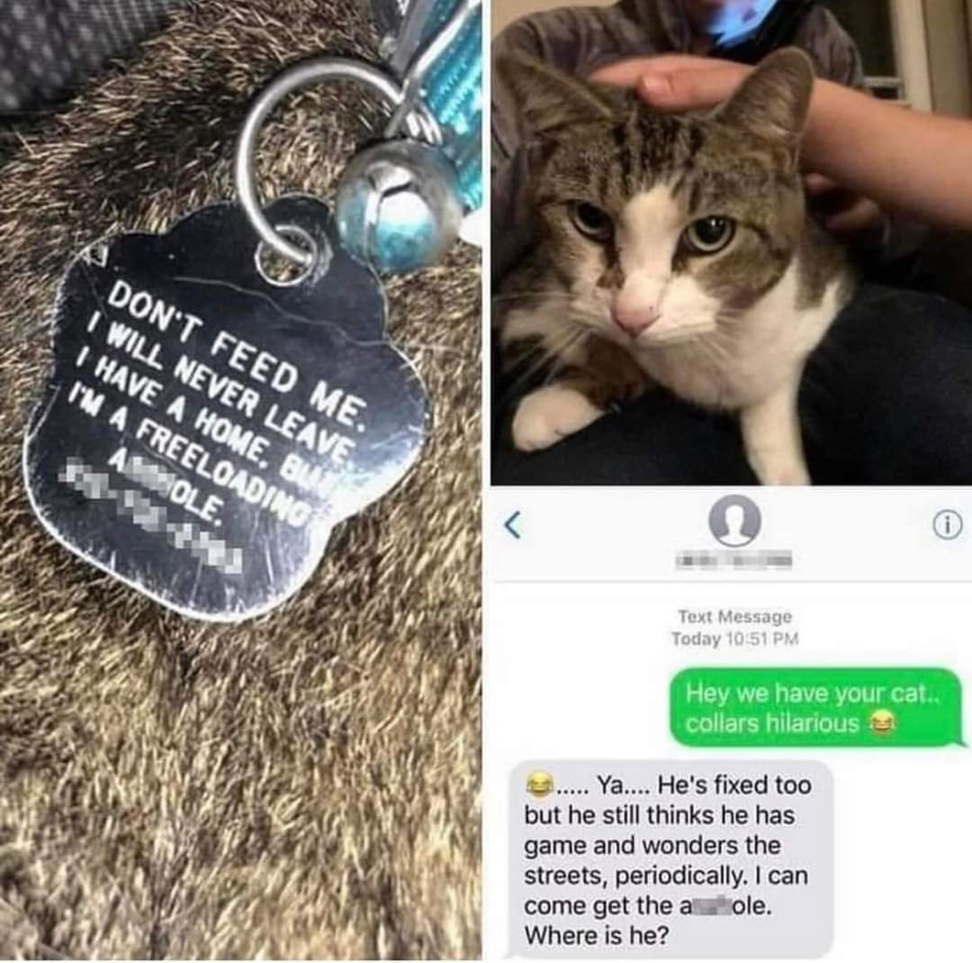 Meet the Ultimate Freeloader