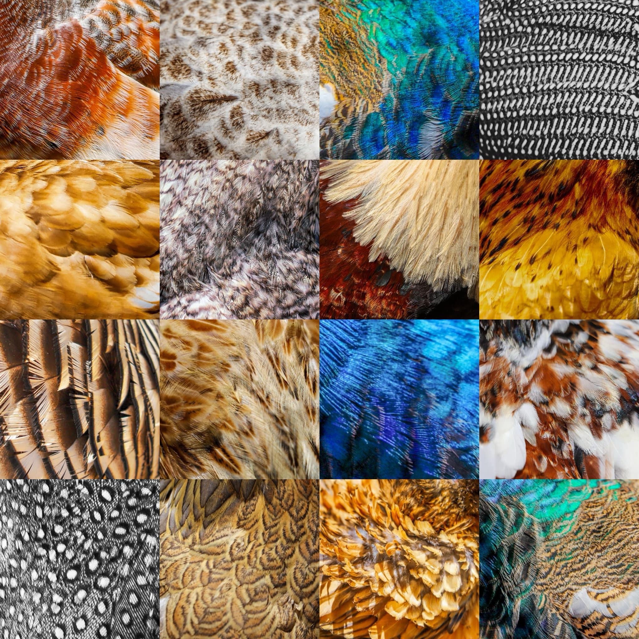 Exploring the Beauty of Textures