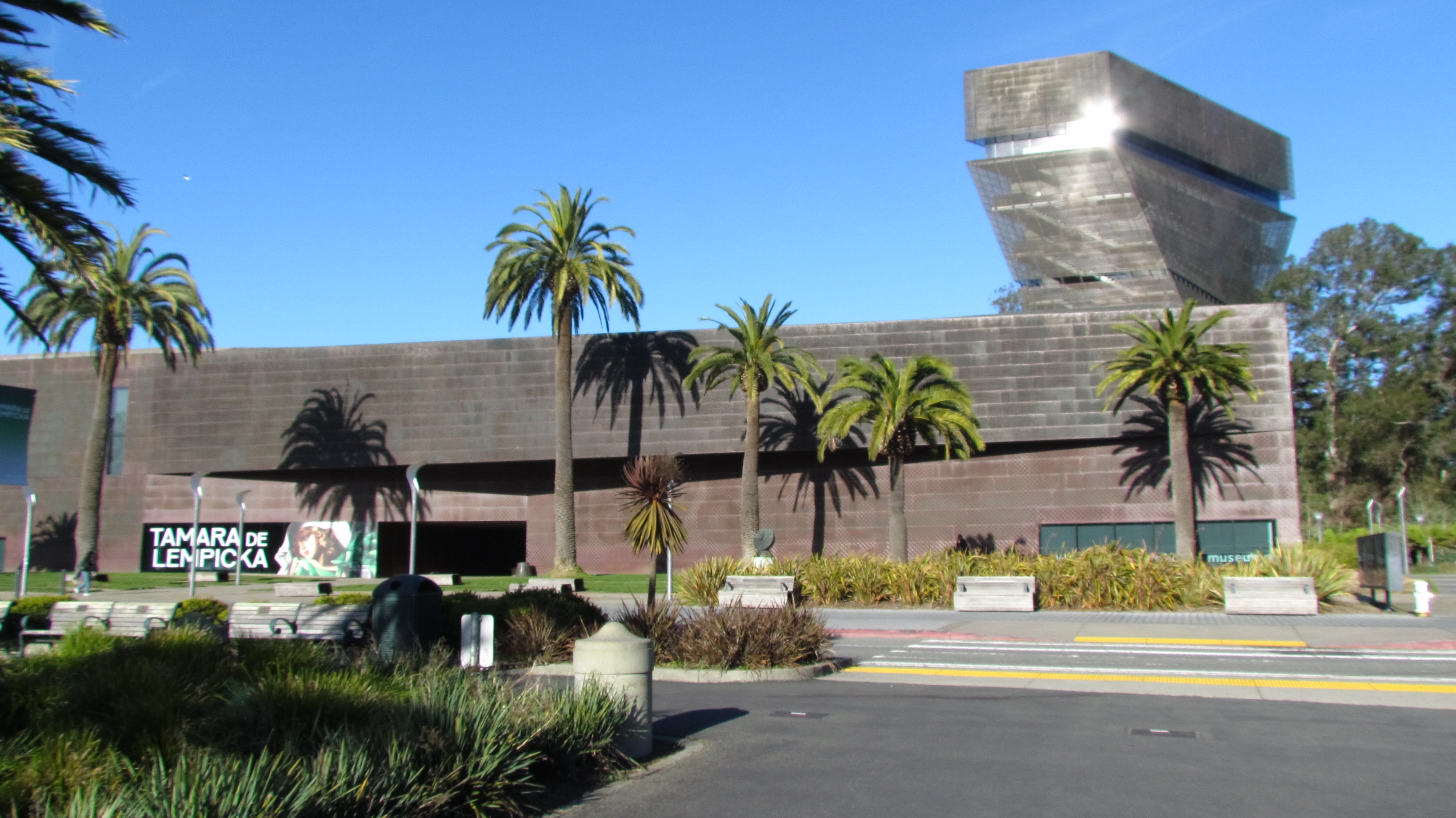 Exploring the wonders of the deYoung Museum.