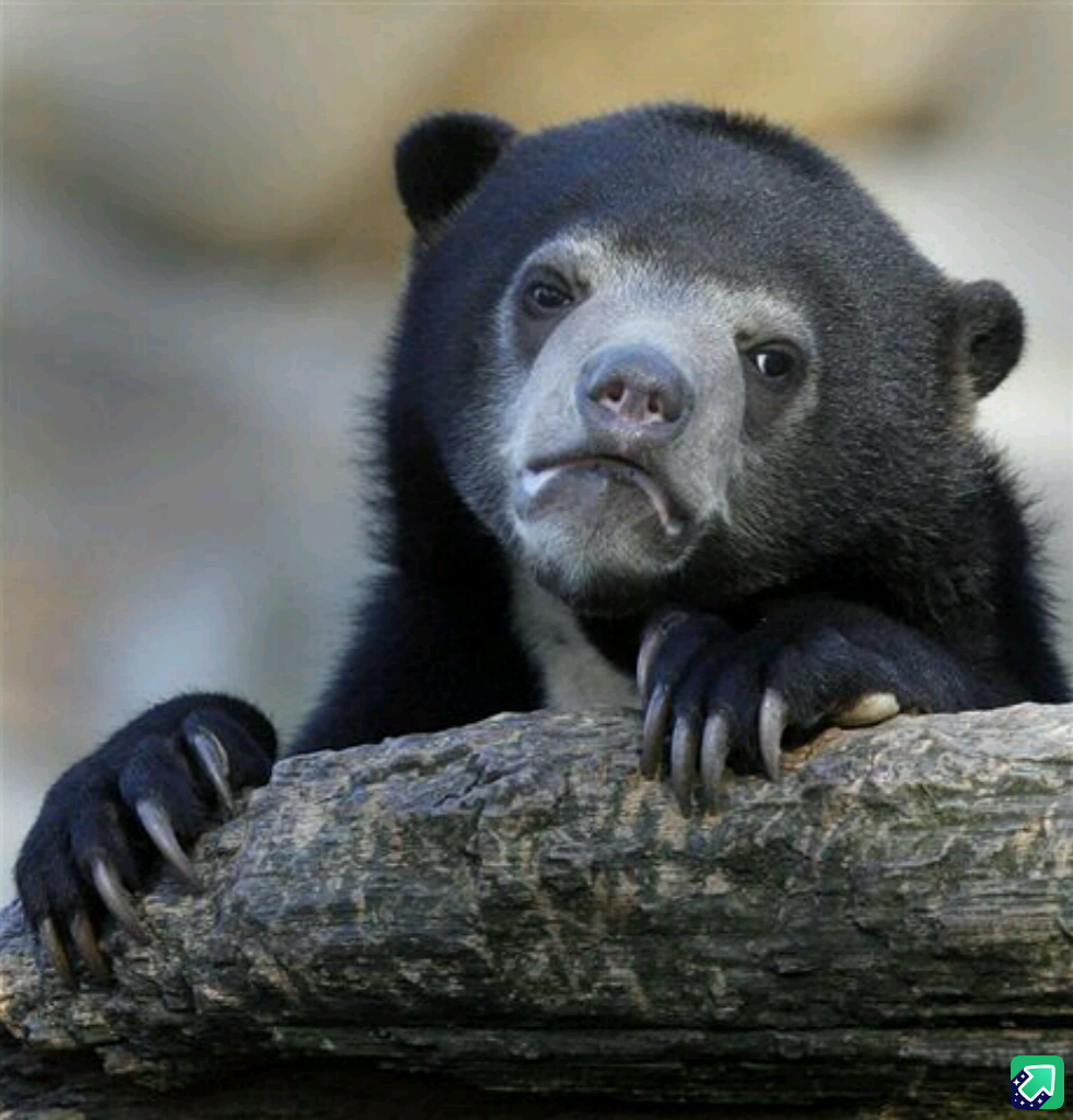 I can't shake the guilt after stealing $10 worth of groceries this week; I feel like I've let everyone down, especially myself.