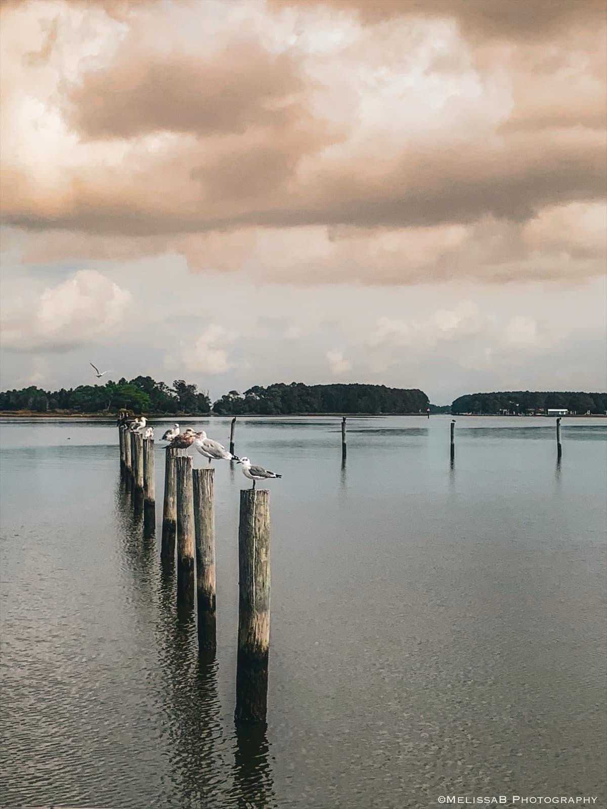 Taking a Break: The Art of Resting