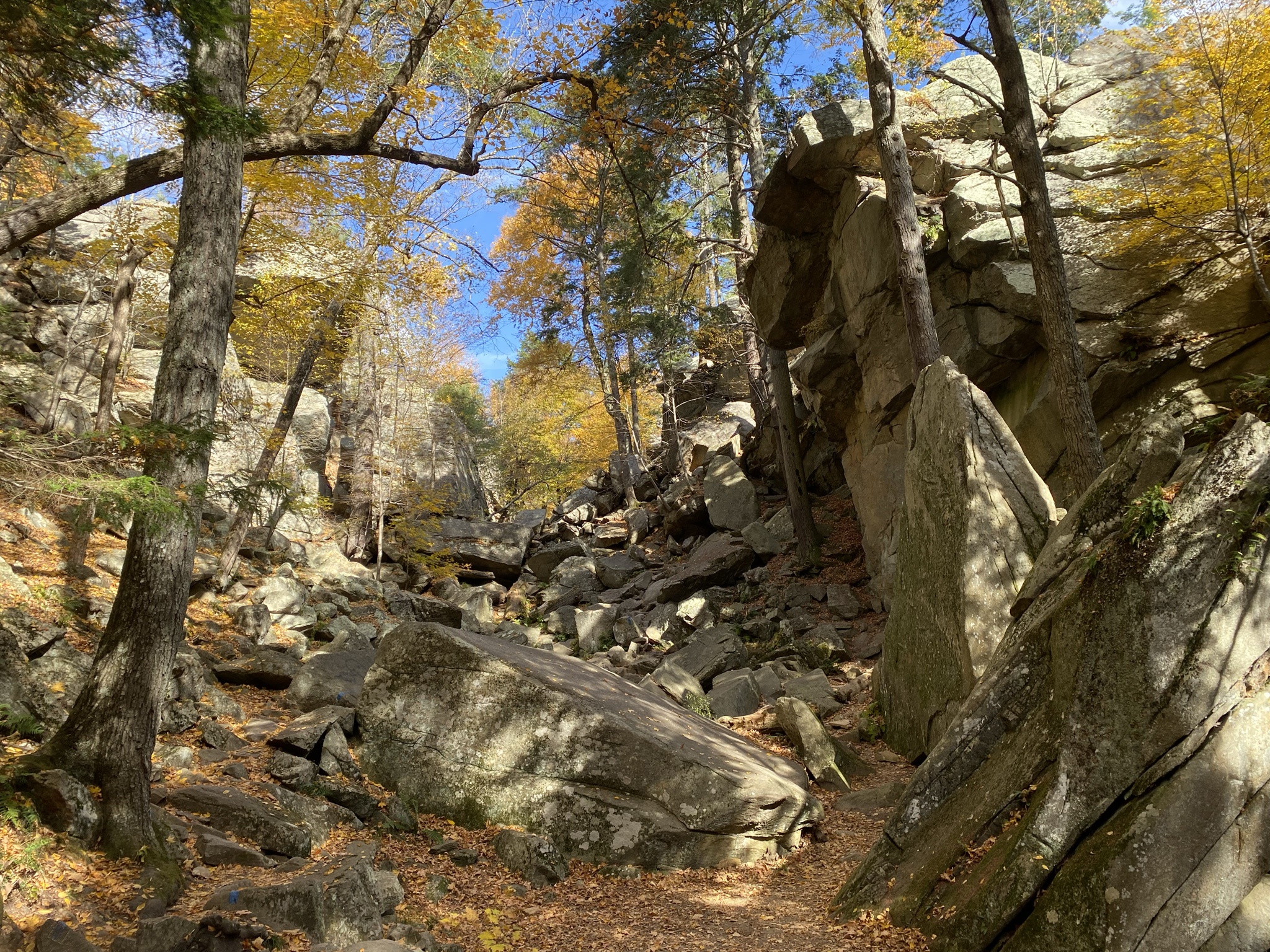 Experiencing Autumn in Purgatory Chasm