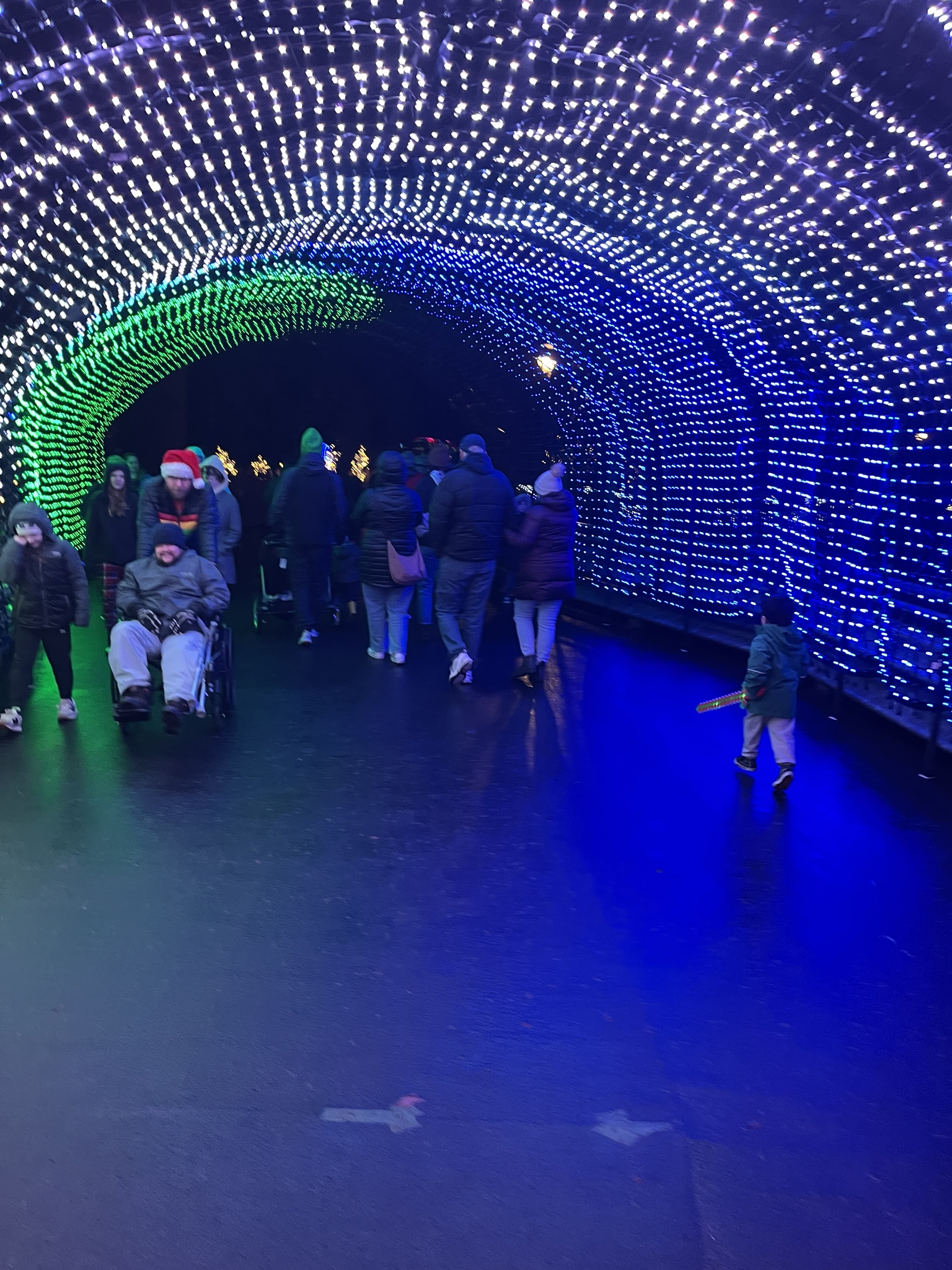 Experience the magical Zoo Lights at The Oregon Zoo