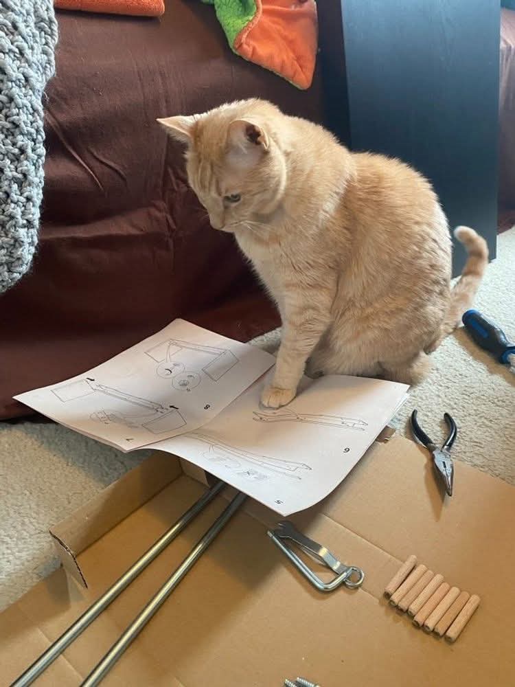 He Clearly Knows What He's Doing
