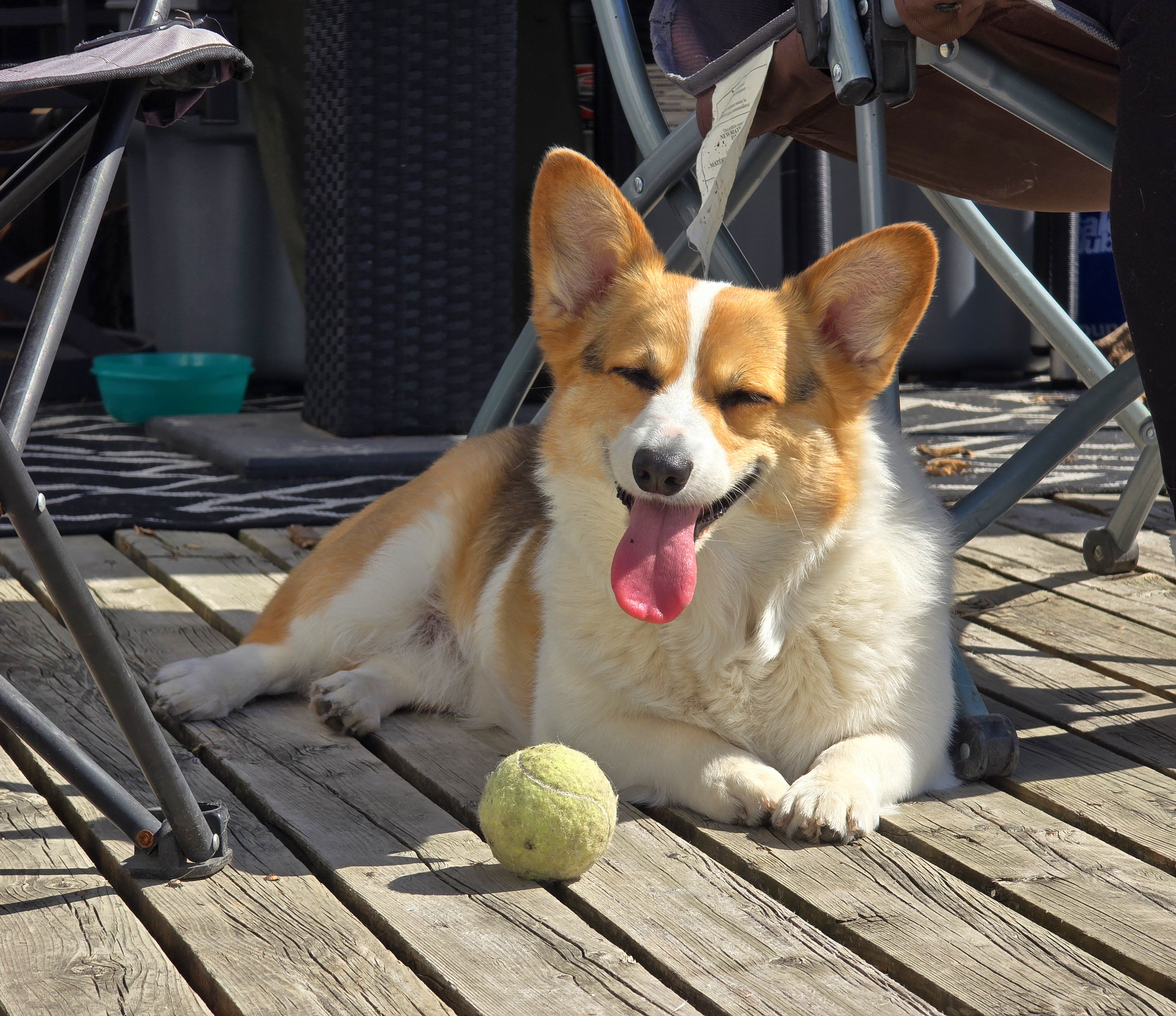 Step Away from the Acorns and Pinecones for a Moment!