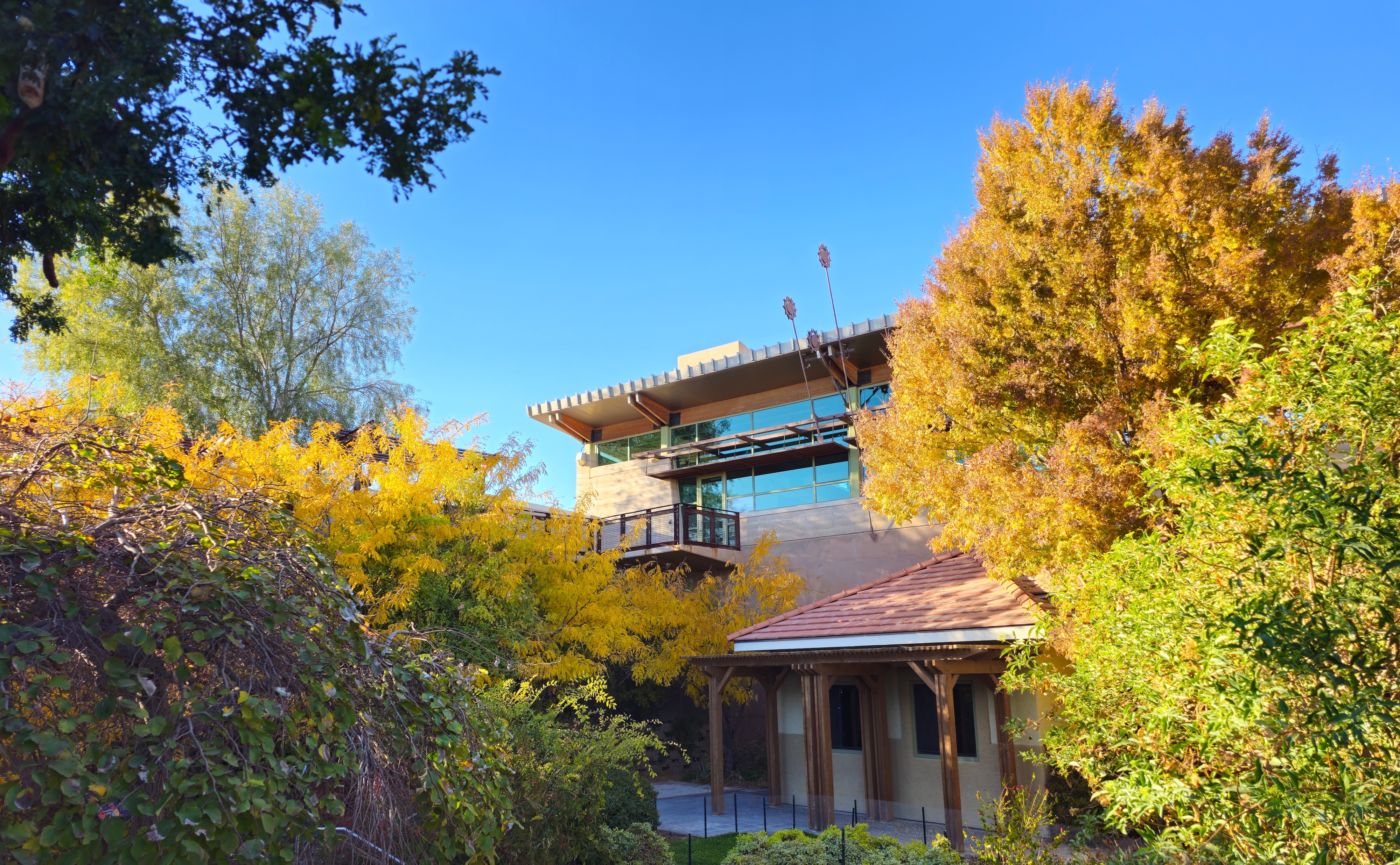 Discovering the Beauty of Springs Preserve Gardens in Las Vegas