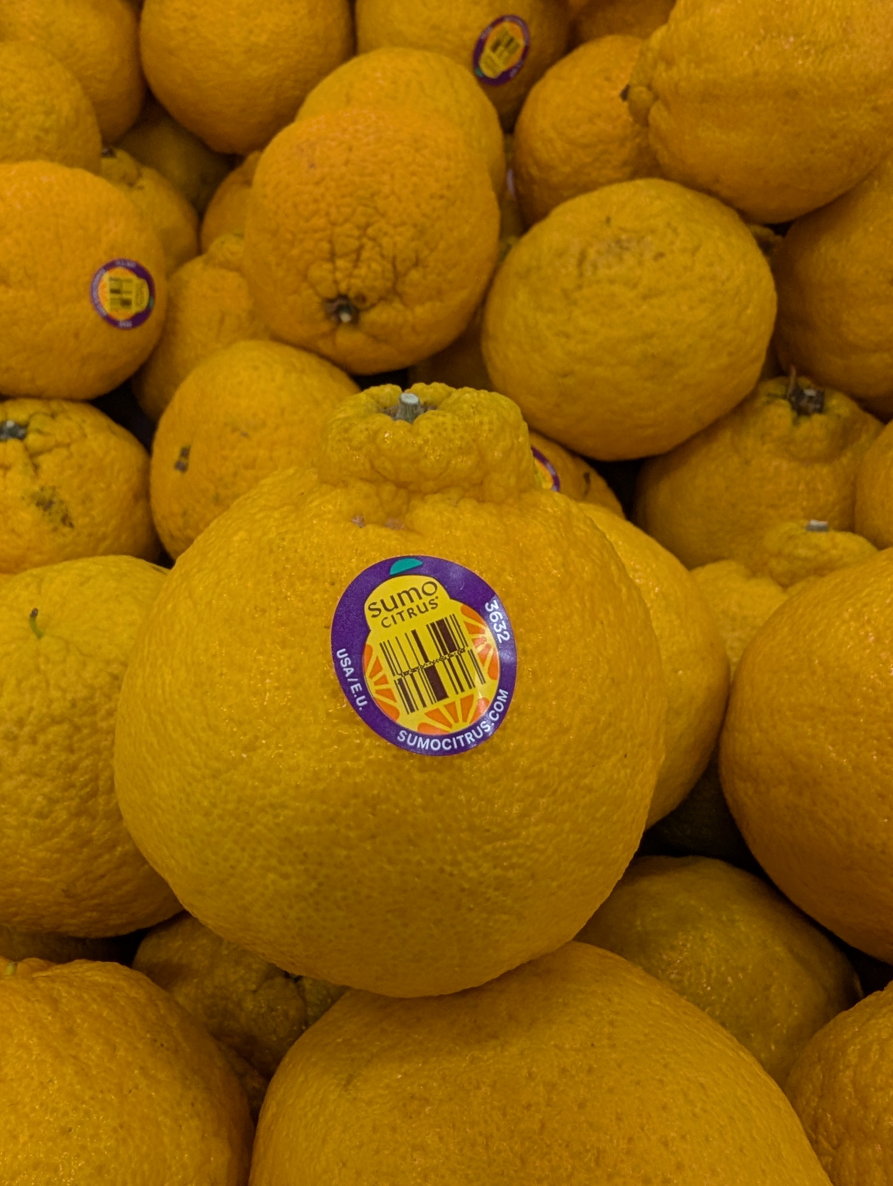 These Oranges May Look Odd, But Their Flavor is Incredible!