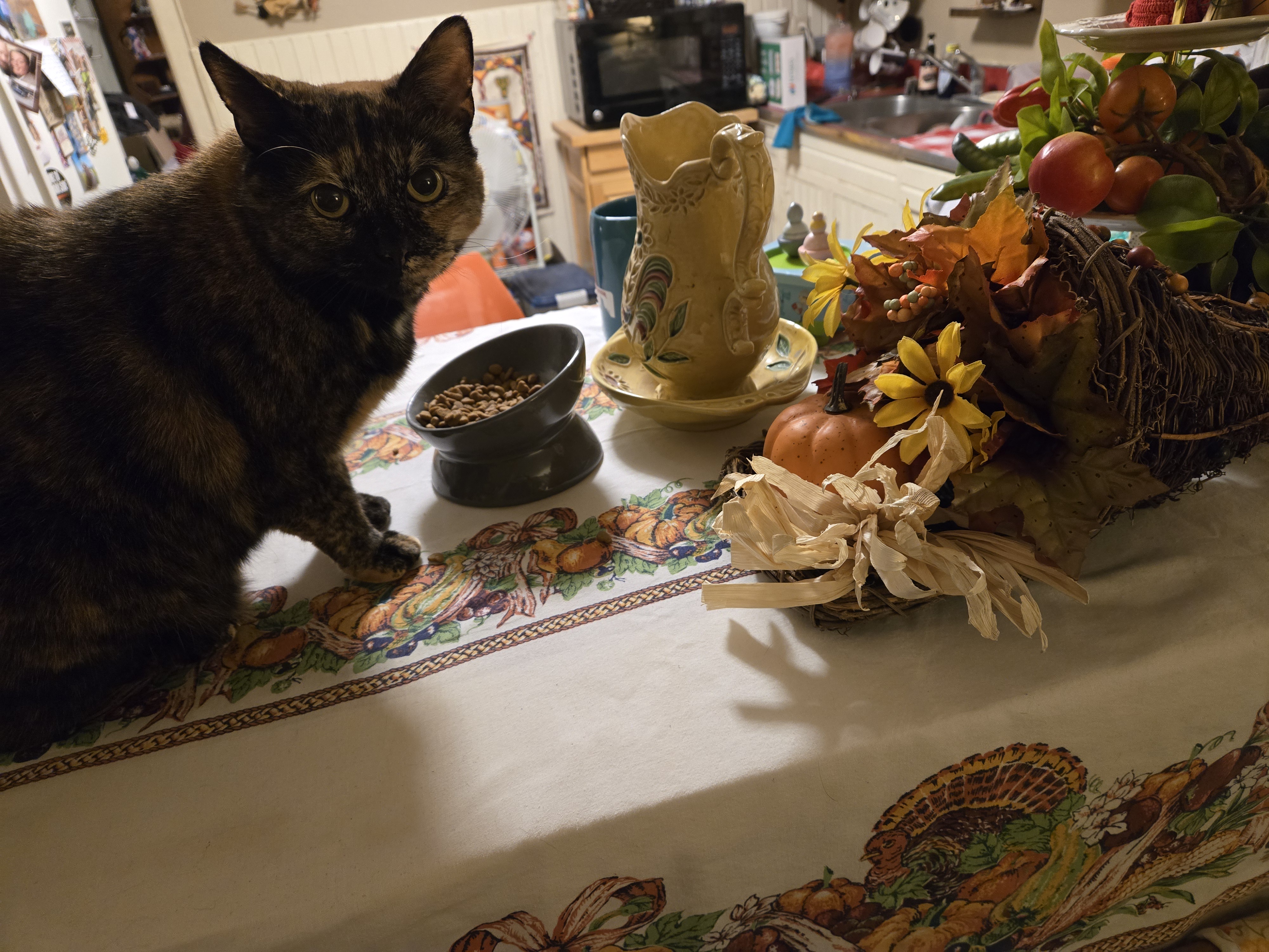 Grateful for a belly full of delicious food!
