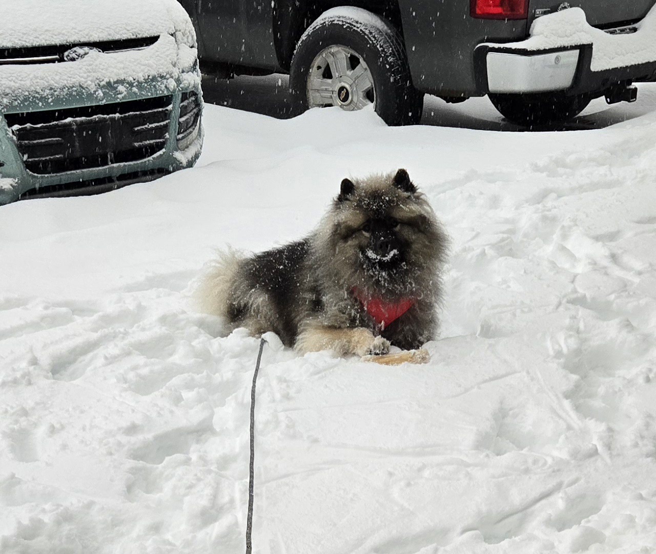 Should I just go inside?