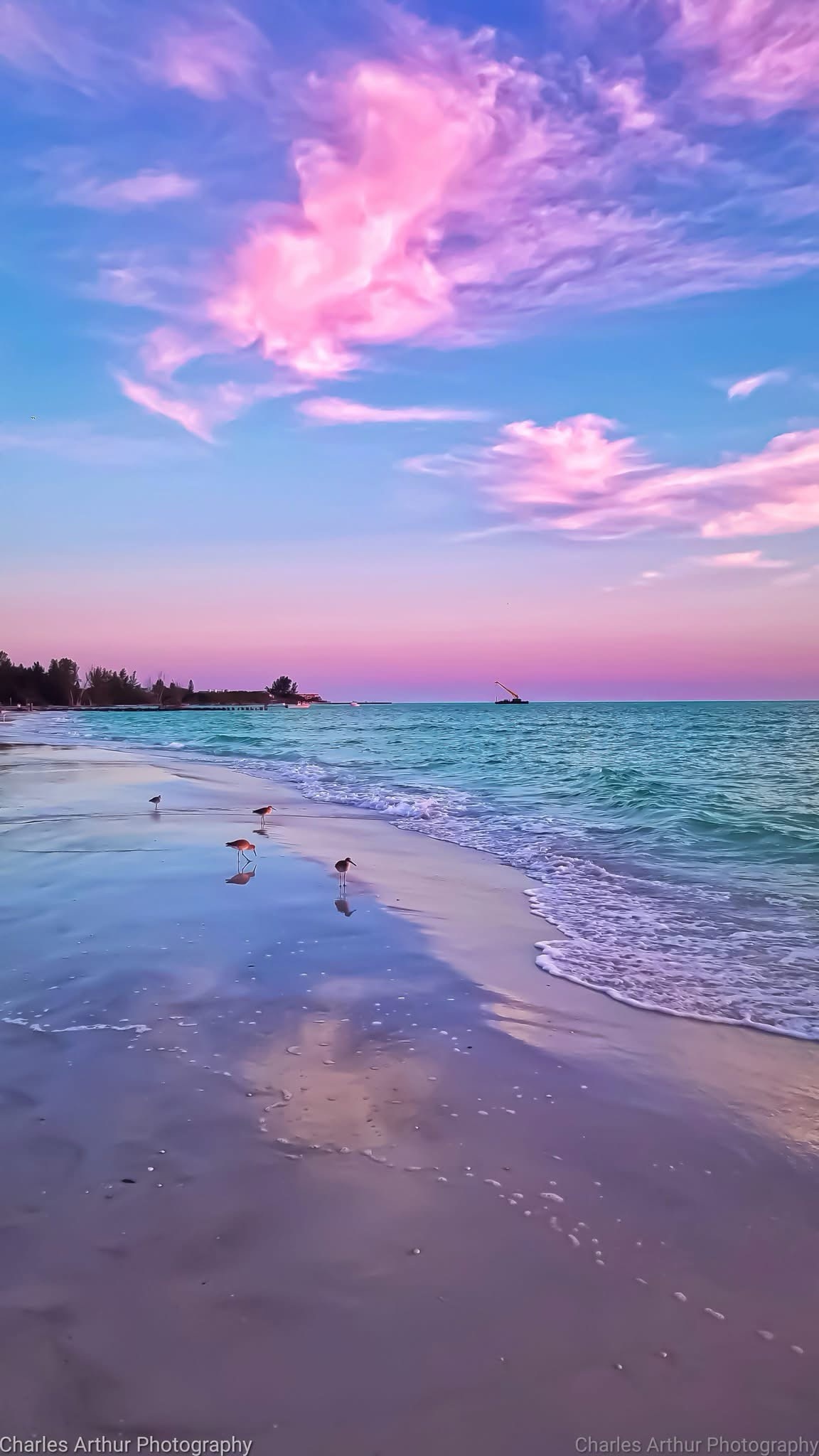 Breathtaking Cotton Candy Skies