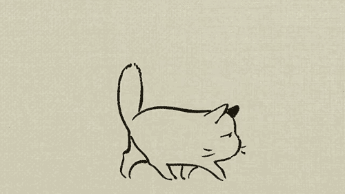 A Collection of Memories: Phone Dump and Cat Tax
