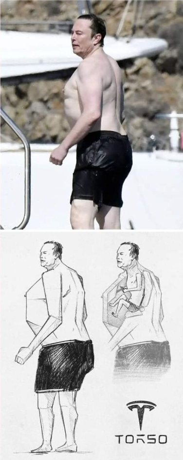 A Study in TORSO: The Art of the Human Form