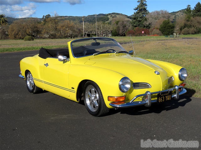 Vibrant California Yellow: A Colorful Delight