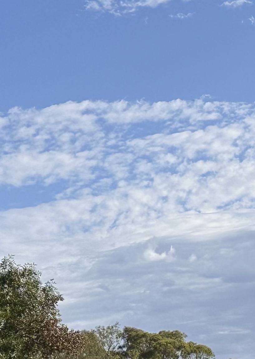 What Imagination Does This Cloud Spark for You?