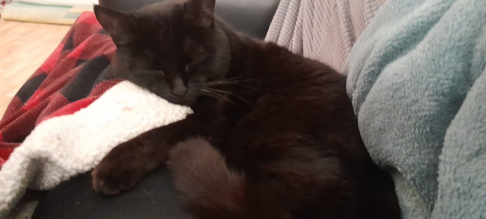 Feeling Sleepy and Ready for a Nap
