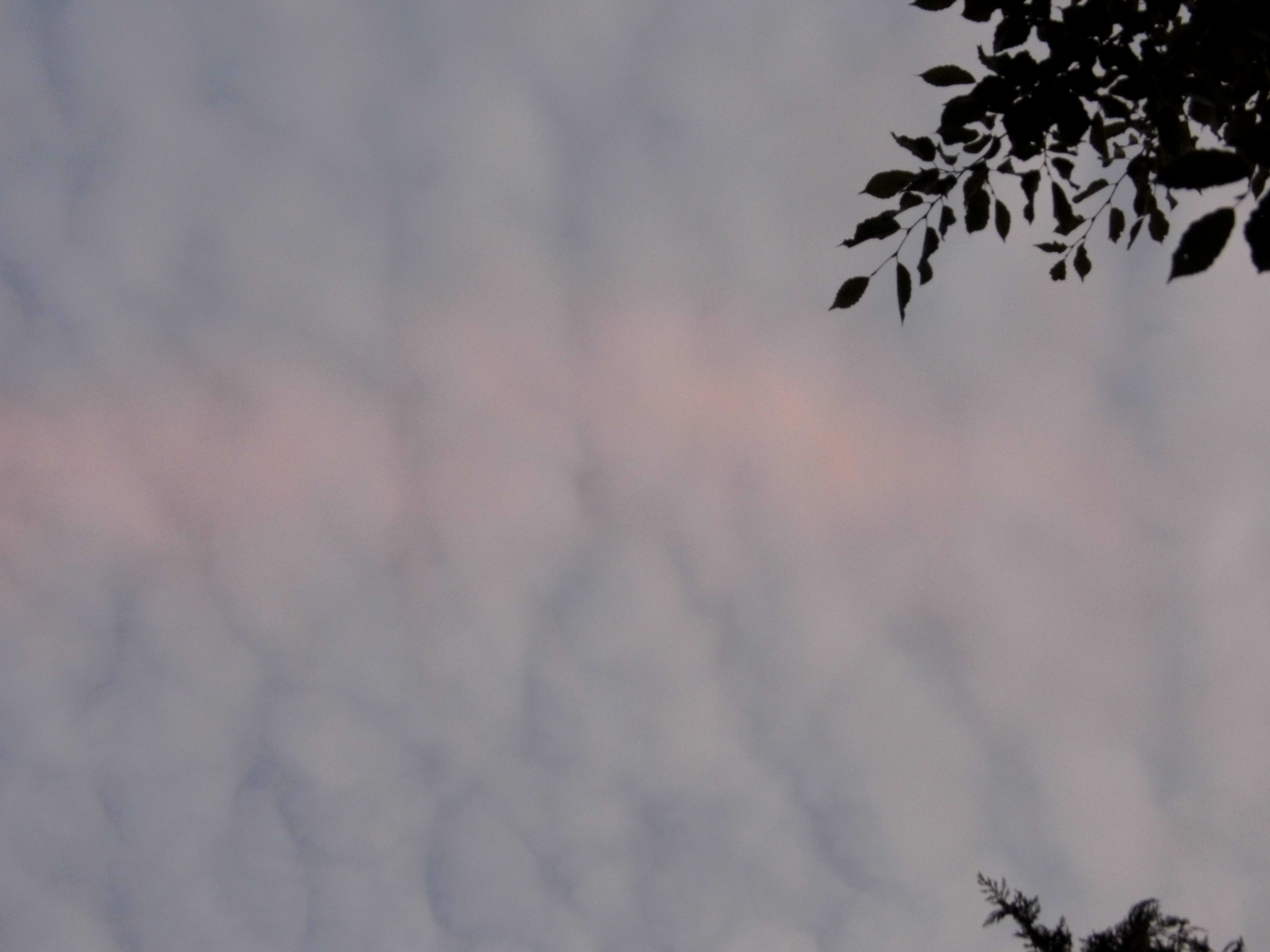 A Beautiful Pink Band Stretching Across the Clouds