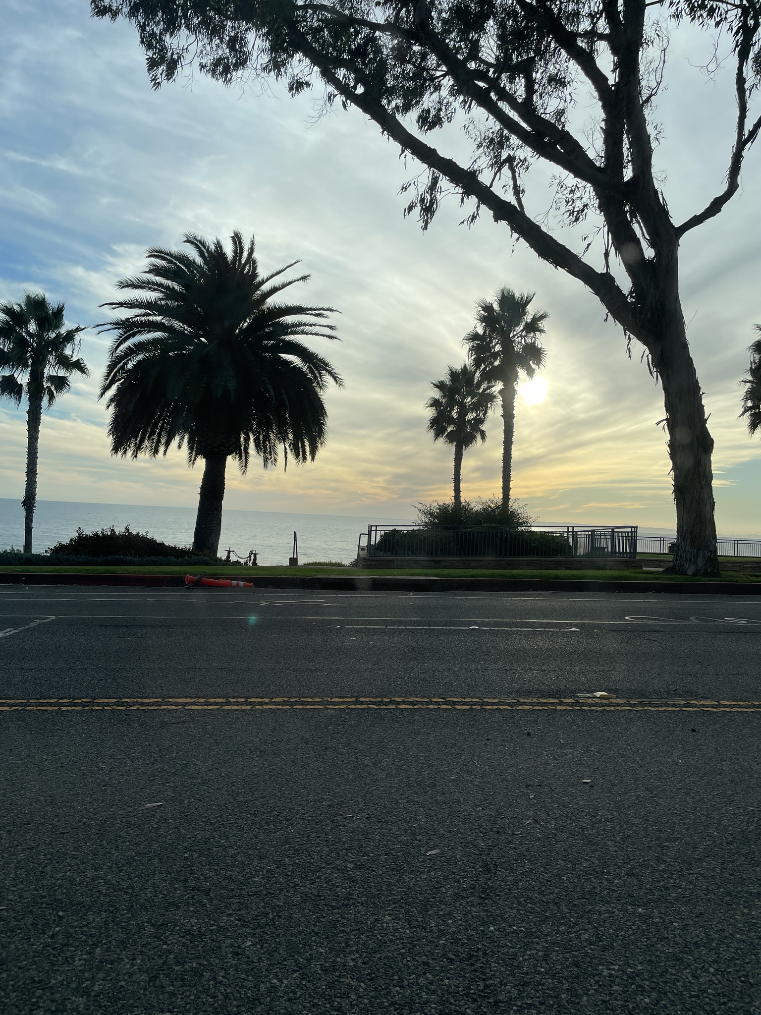 Embracing Gratitude in Everyday Life
