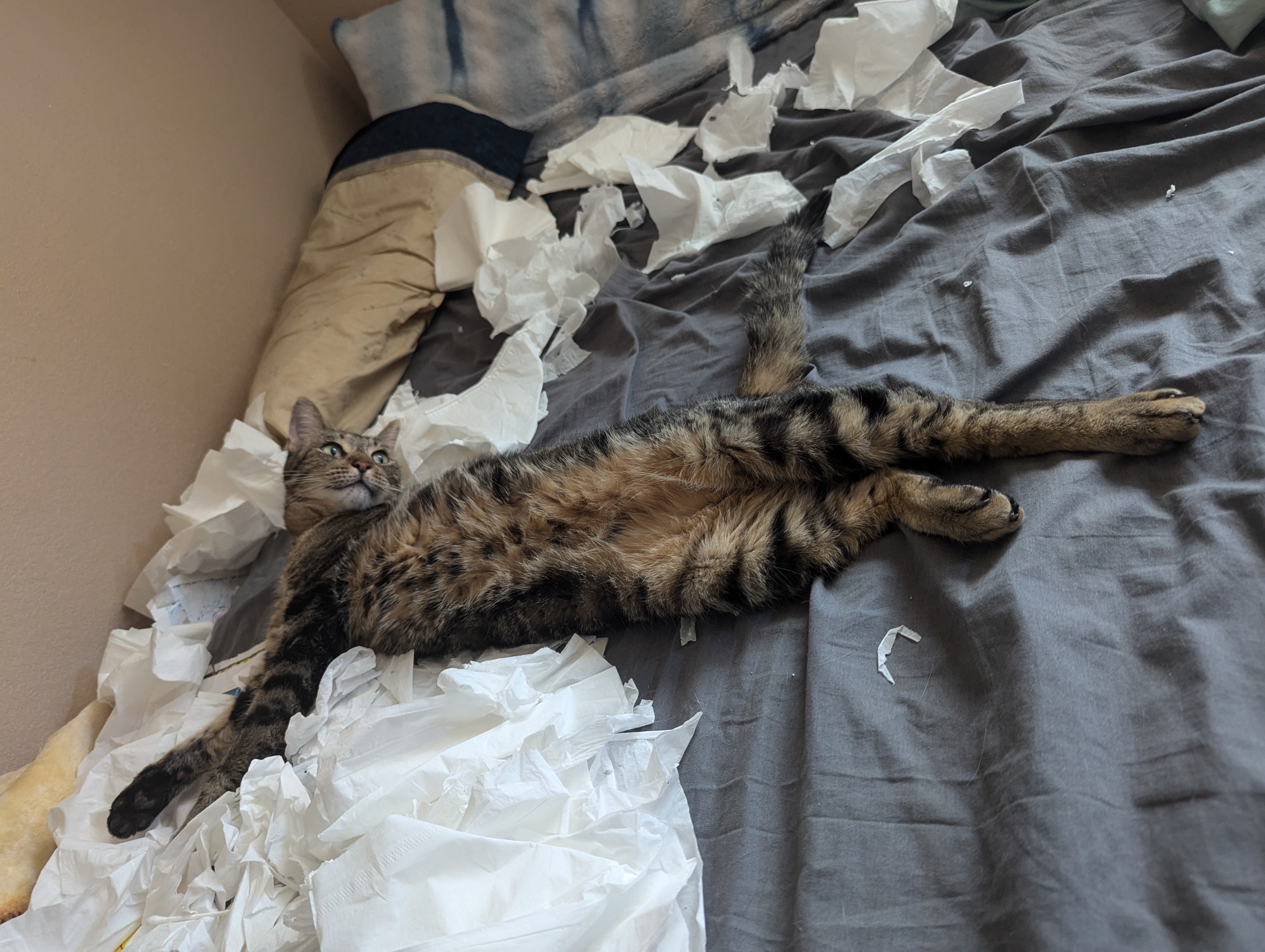It’s Tempting, But He’s Not to Be Trusted