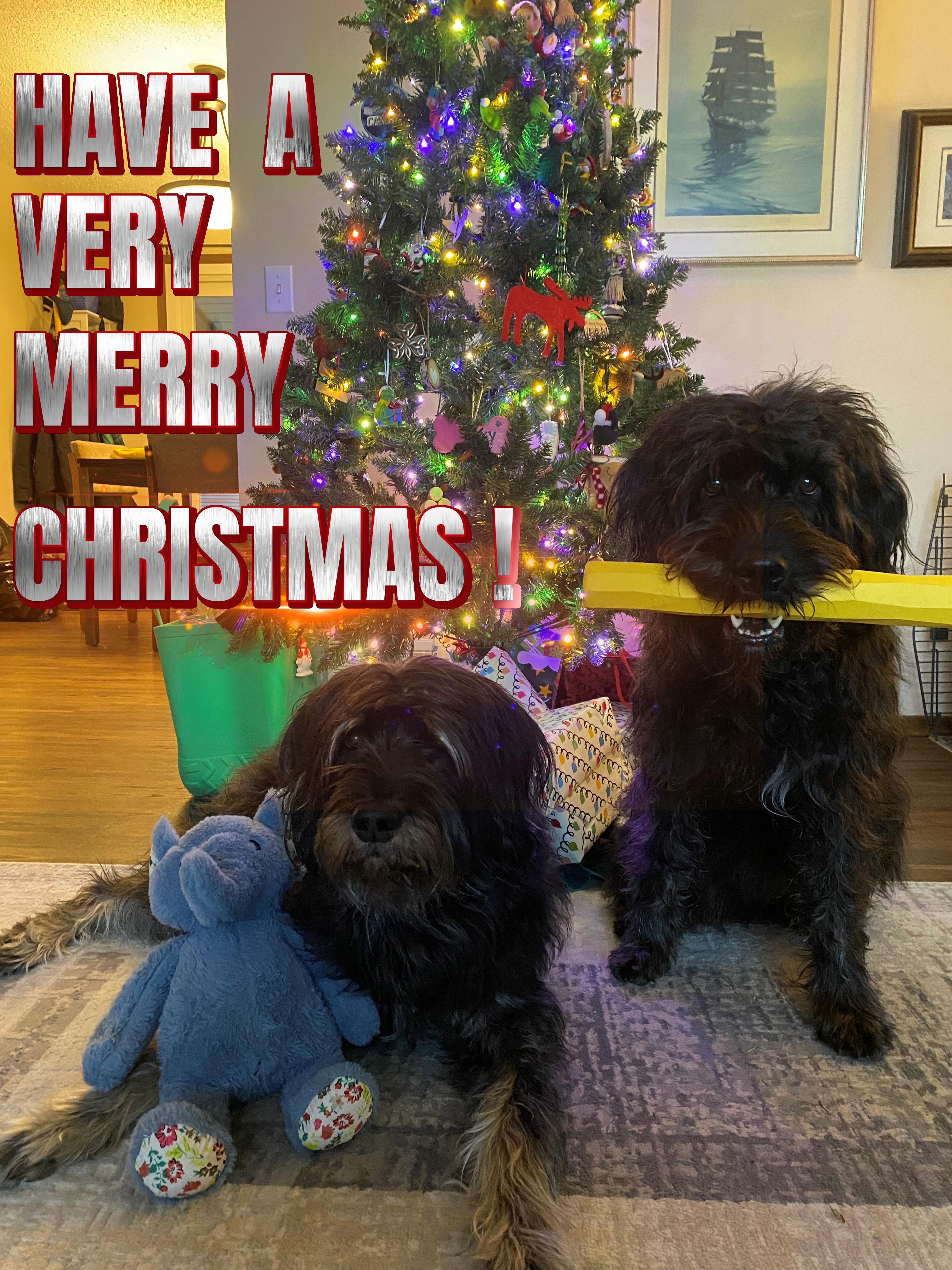 My Ladies Are Sending You Their Warmest Wishes!