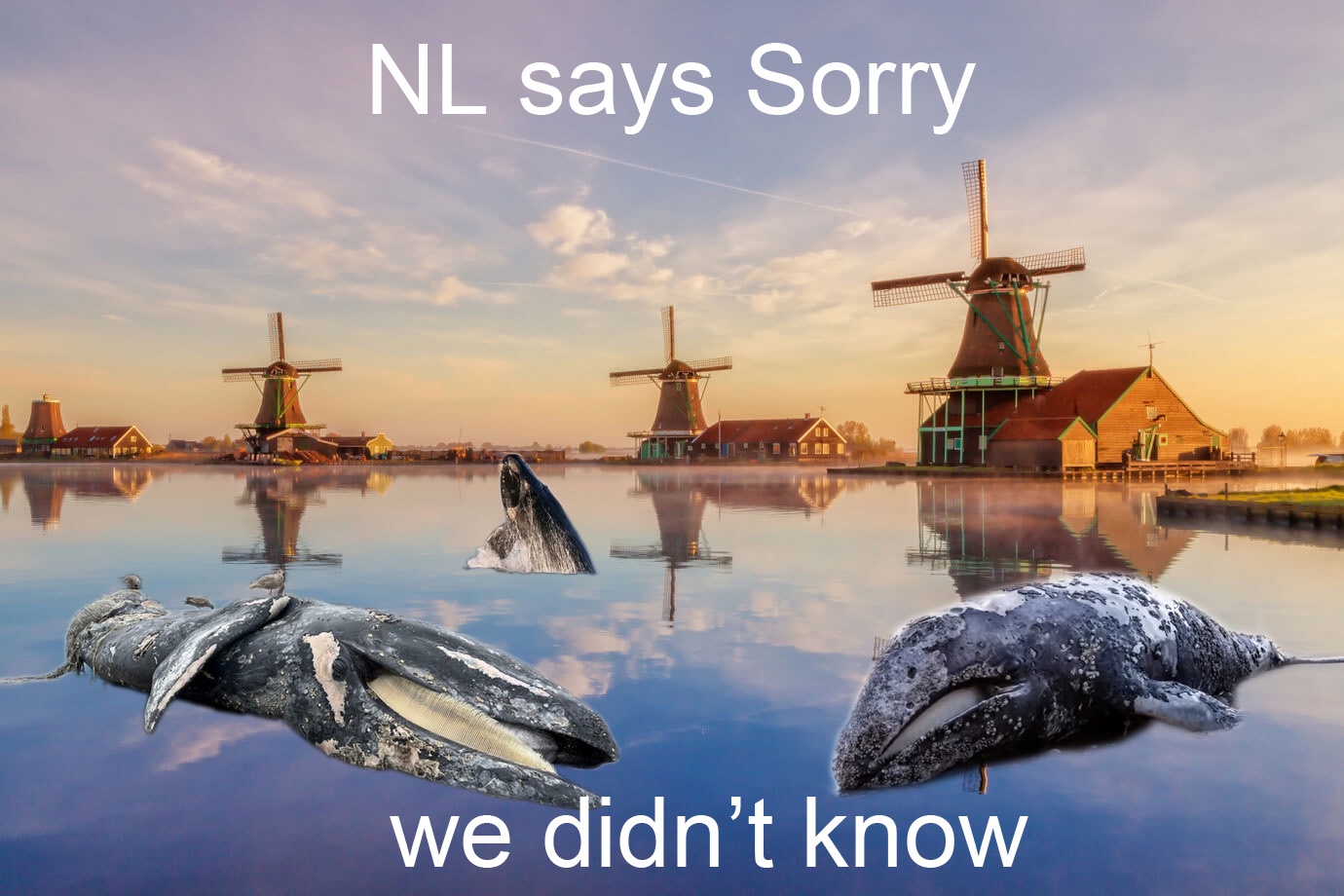 We were completely unaware...